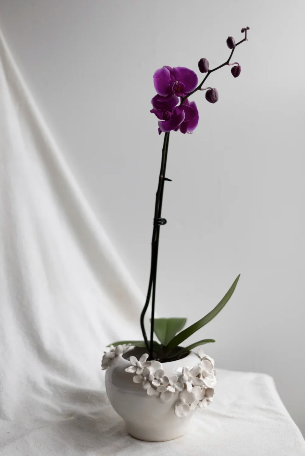 Screenshot 2026-03-23 at 5.35.31 PM.png