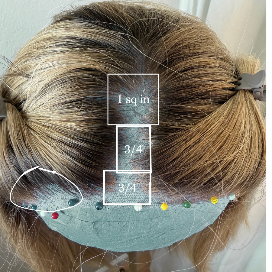 Top view of wig on a canvas block with thinning part mapped for a fill in service