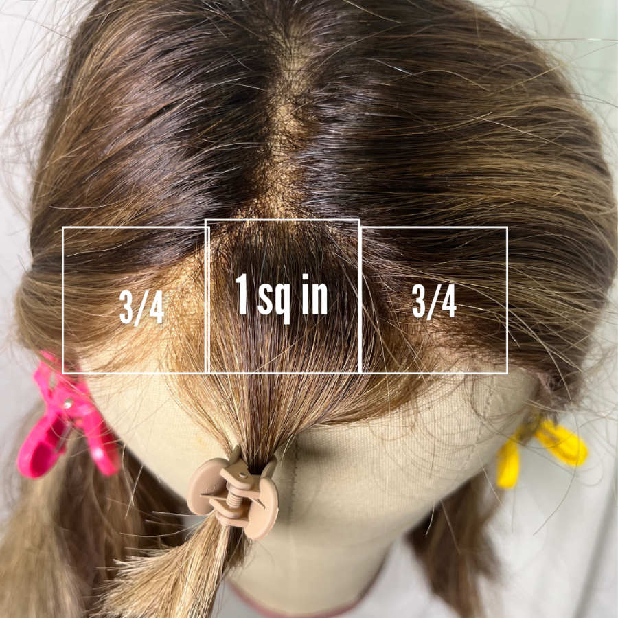 Top view of wig with bangs sectioned forward and mapped prior to bang replacement service.