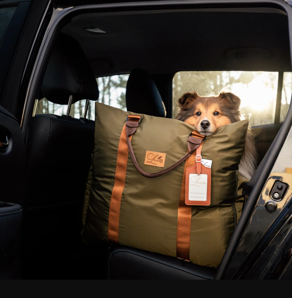 Puerto Vallarta Pets Transporter Pet Shipping Quote — US Mexico Pet