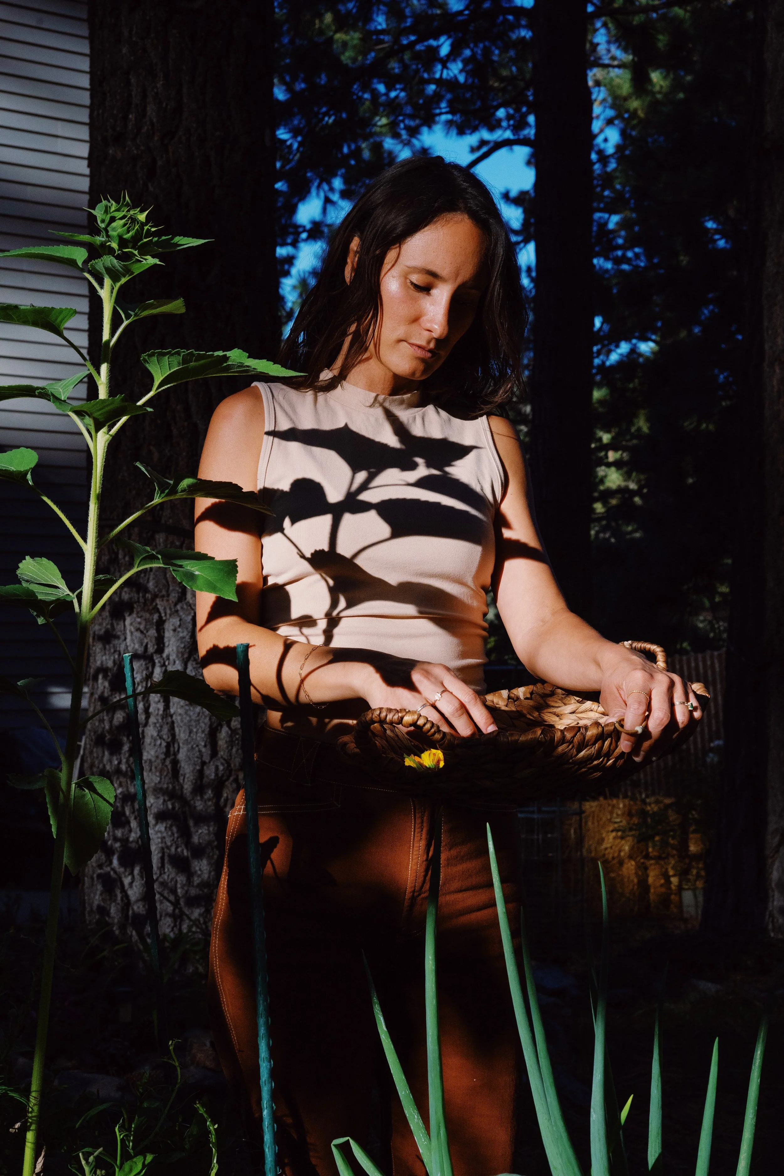 Growing Up Rooted in Wrightwood, CA, designed by Daniela Rey.