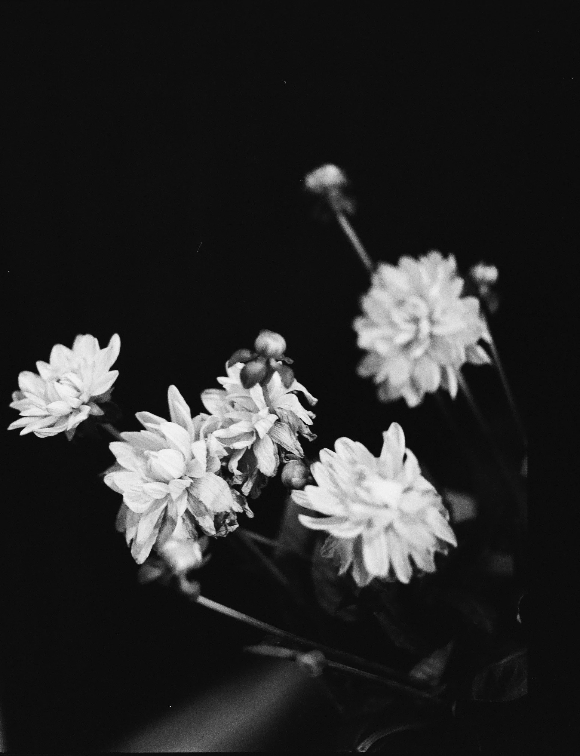 38350006-5859-4AB7-AB23-878737883769 3.JPG