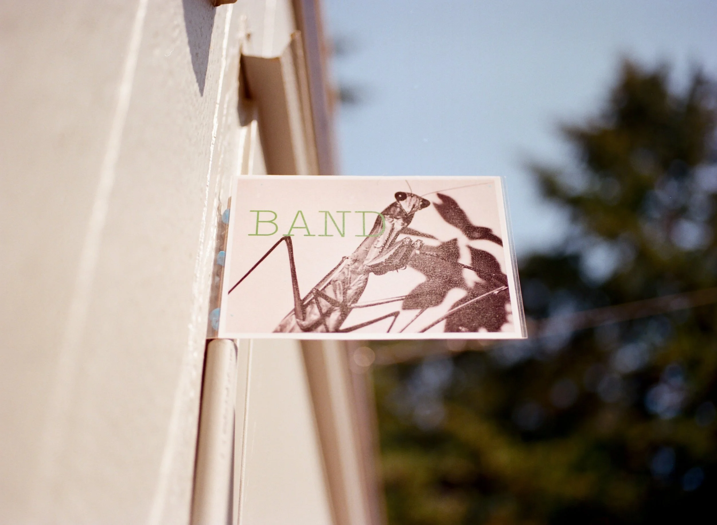 SHEVA-KAFAI-COURTNEY-BARNETT-FILM1-3.jpg