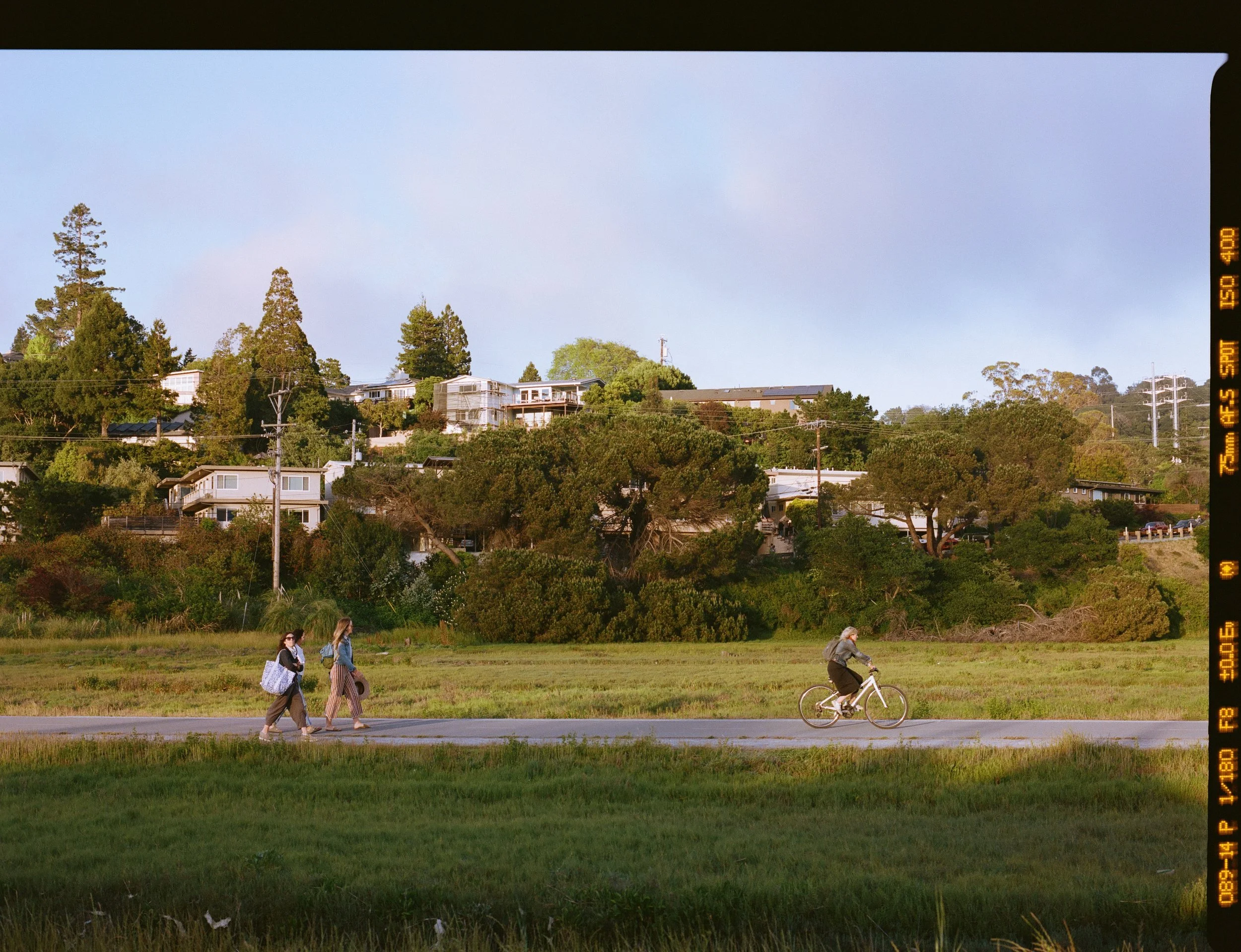 SHEVA-KAFAI-FLEET-FOXES-MILL-VALLEY-9.jpg