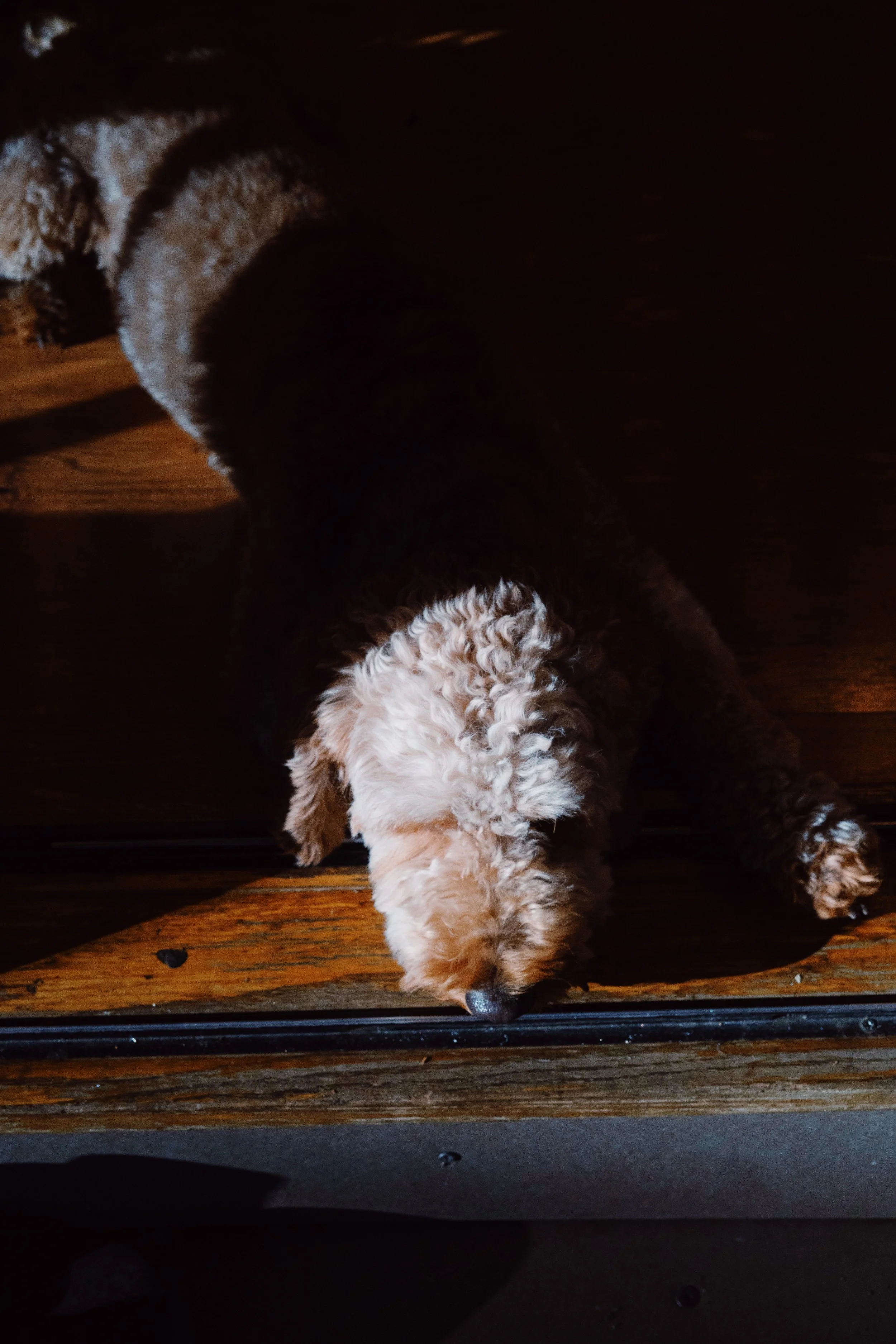 83547FF2-E332-4CAA-B929-C985924620AB.JPG