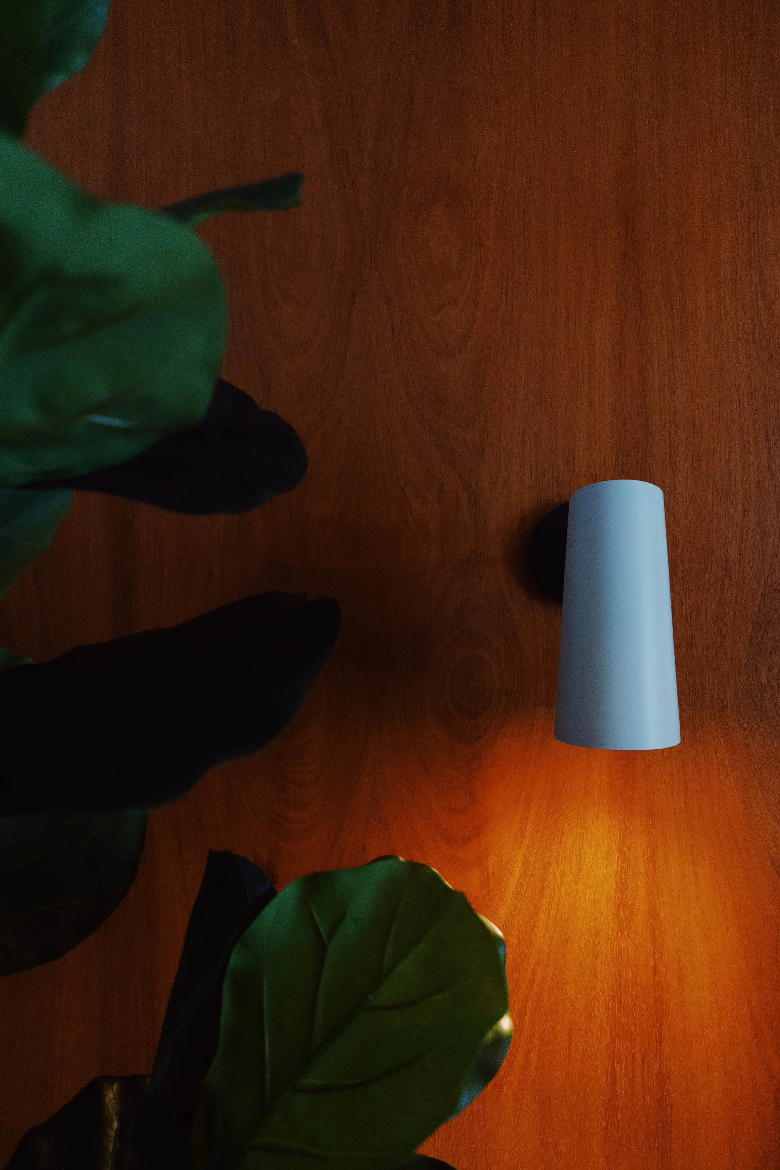 4AD747FF-DB97-40AF-92CA-99BDC00828A4 2.JPG