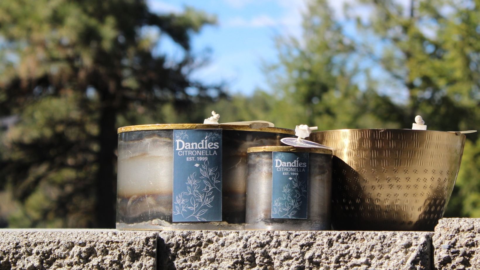 Metal_Citronella_Candle_Decor.jpg