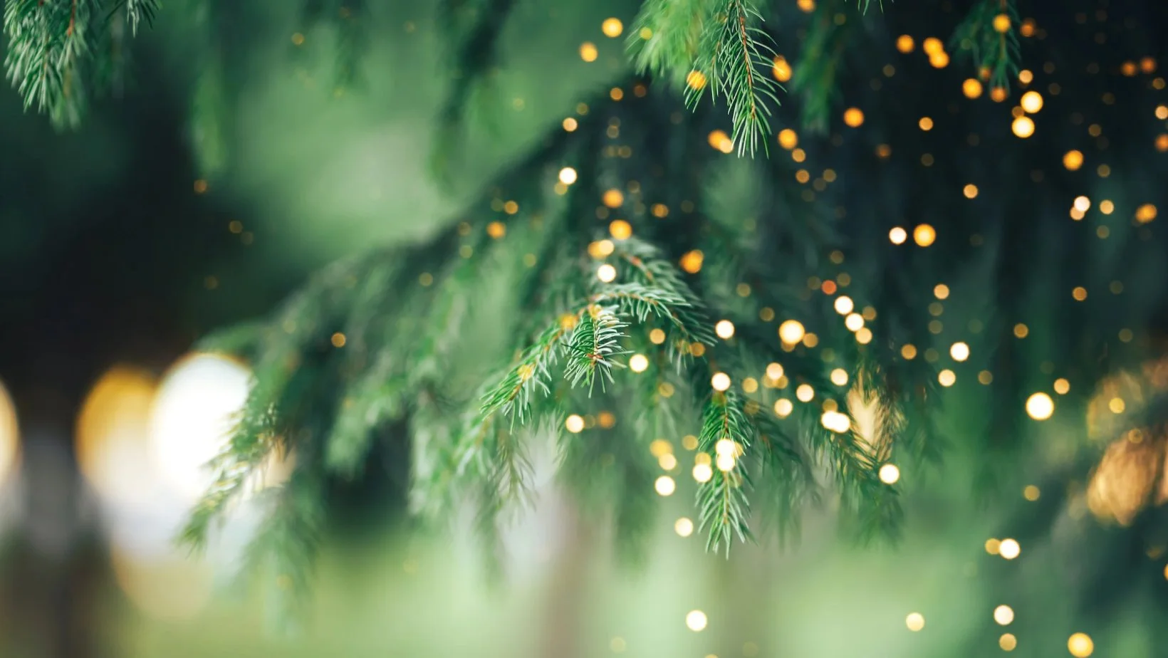 christmas-scents-merry-bright-tree.jpg