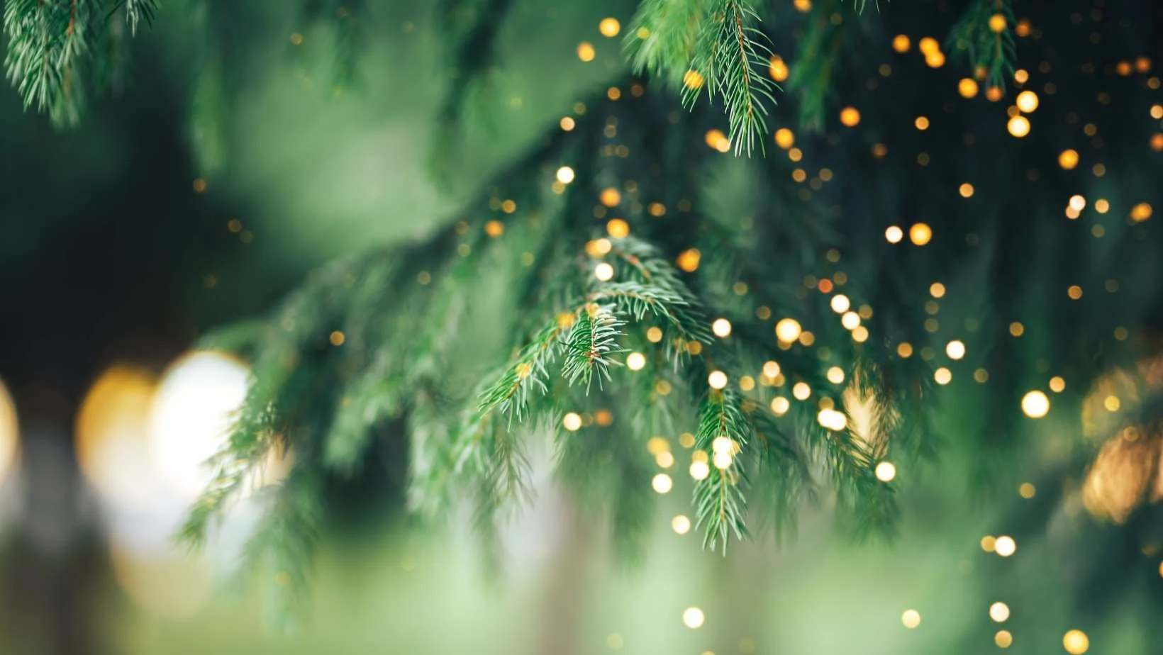 Fir_Tree_Candle_Scent.jpg