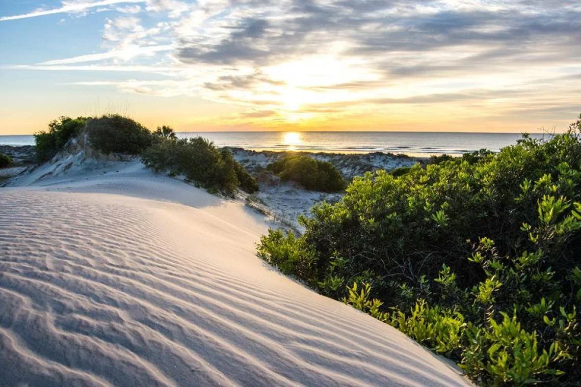 Cumberland Island.jpg
