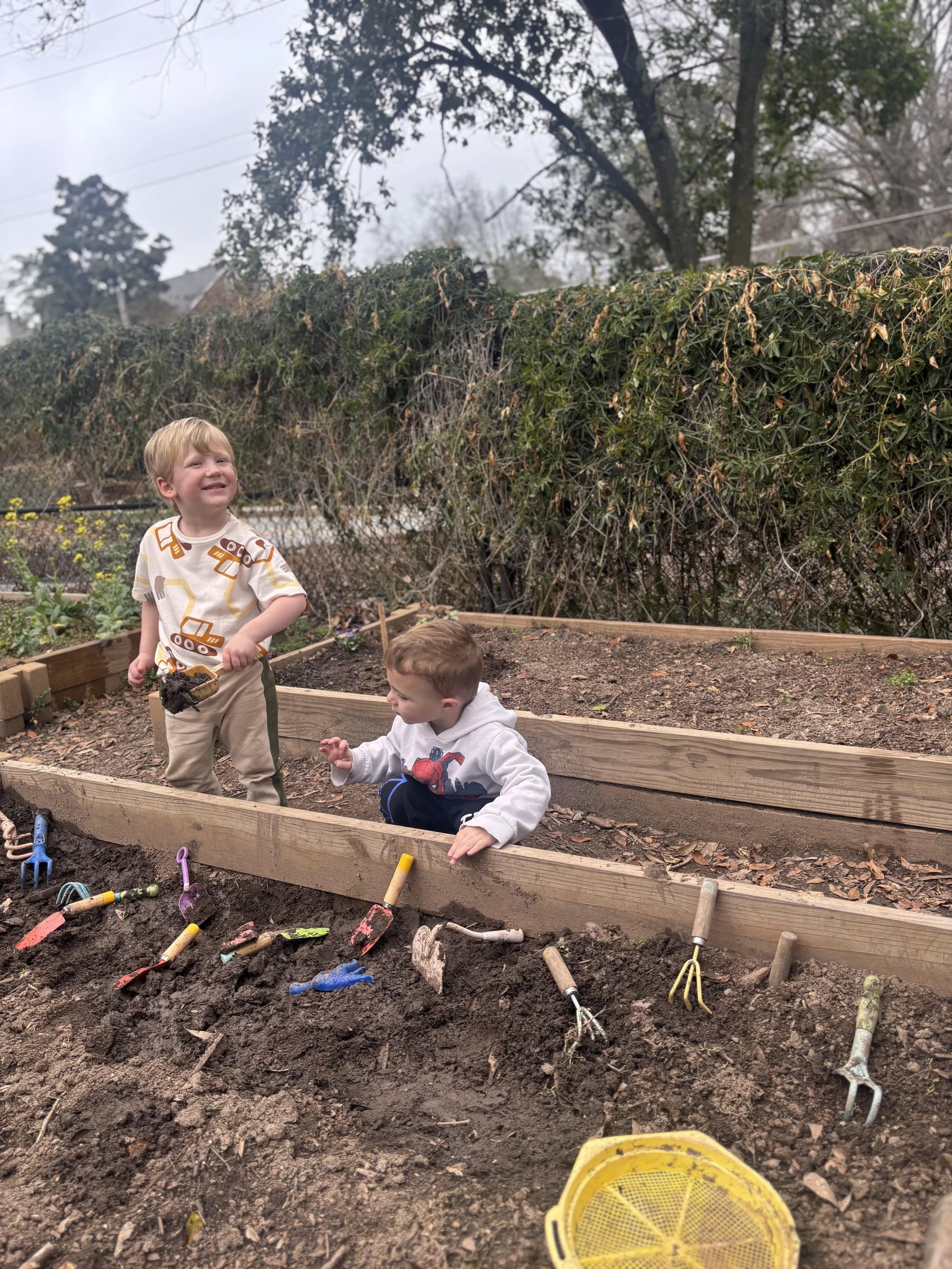 Arlo Garden.jpg