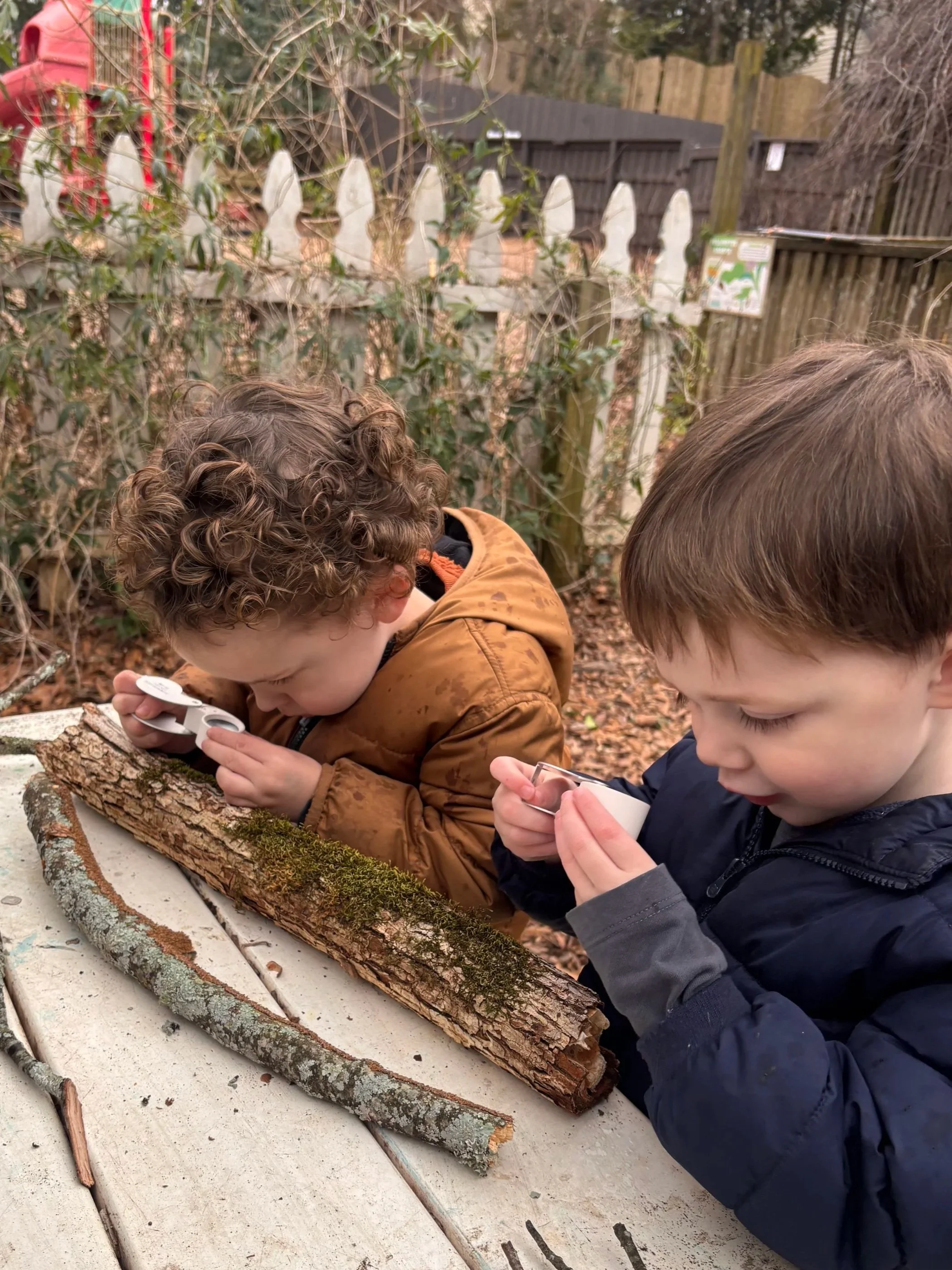 Children examining moss and lichen in the preschool garden using magnifiers.