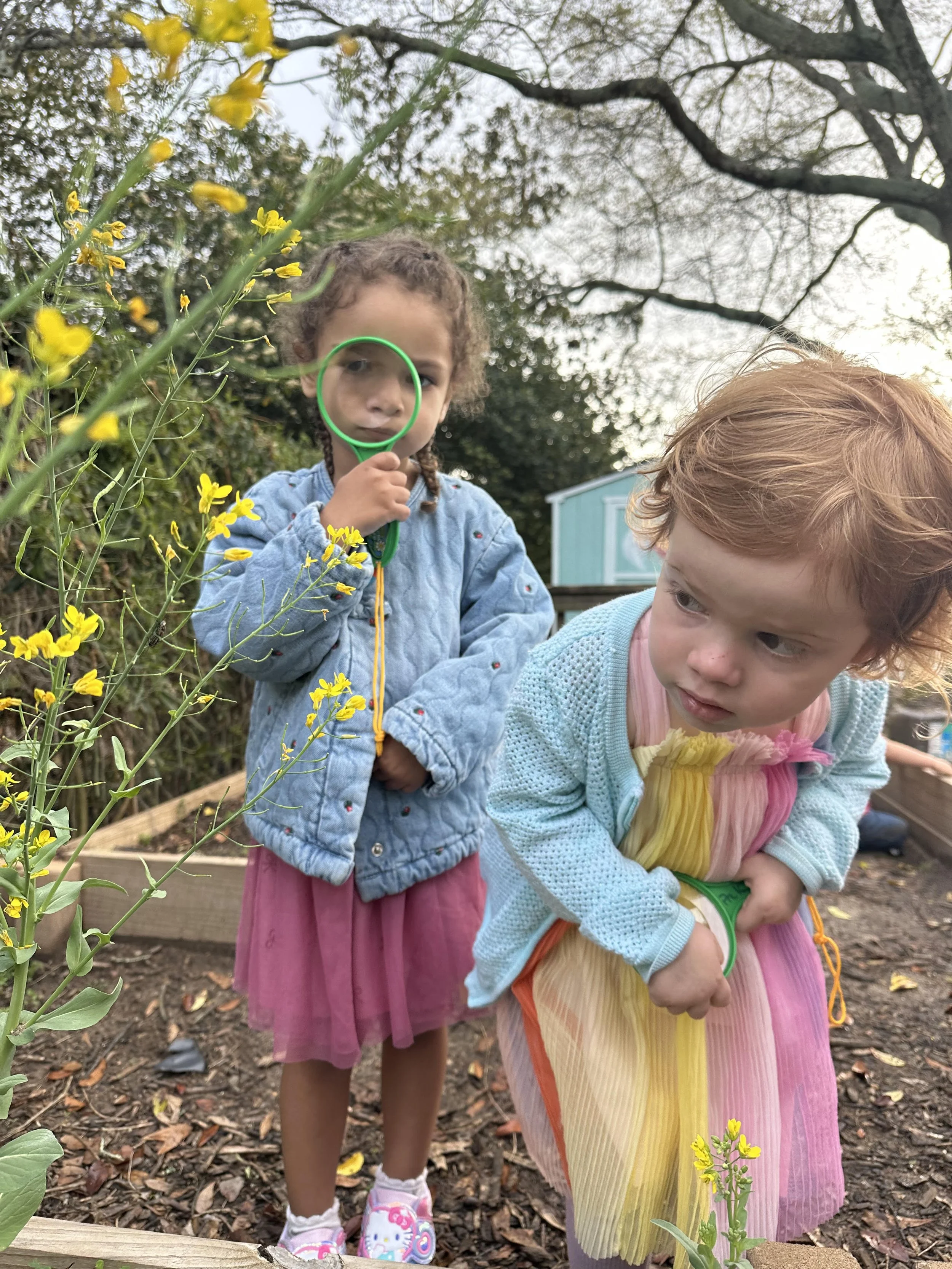 Ember Natalie Garden.jpg