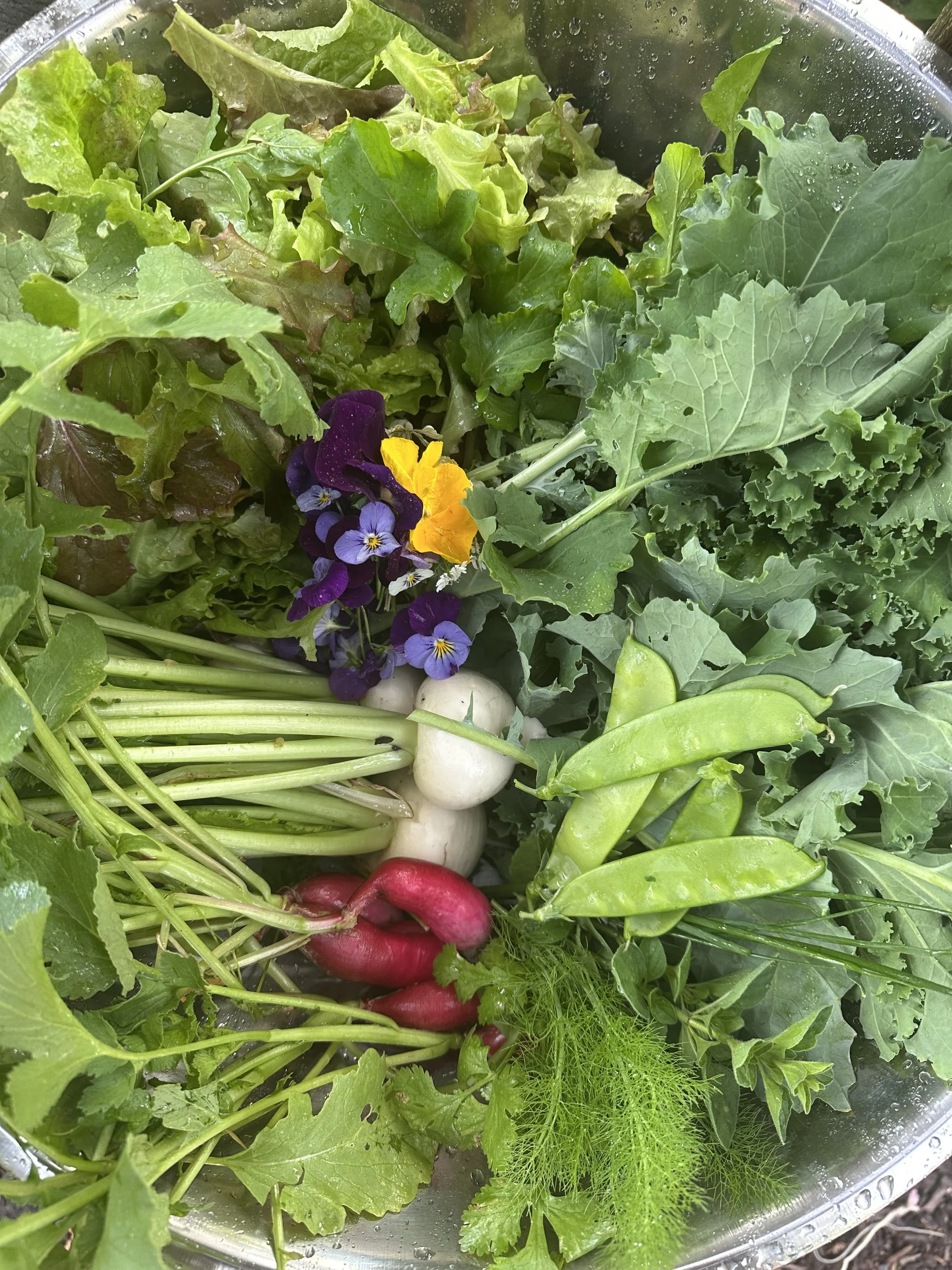 Garden Salad.jpg