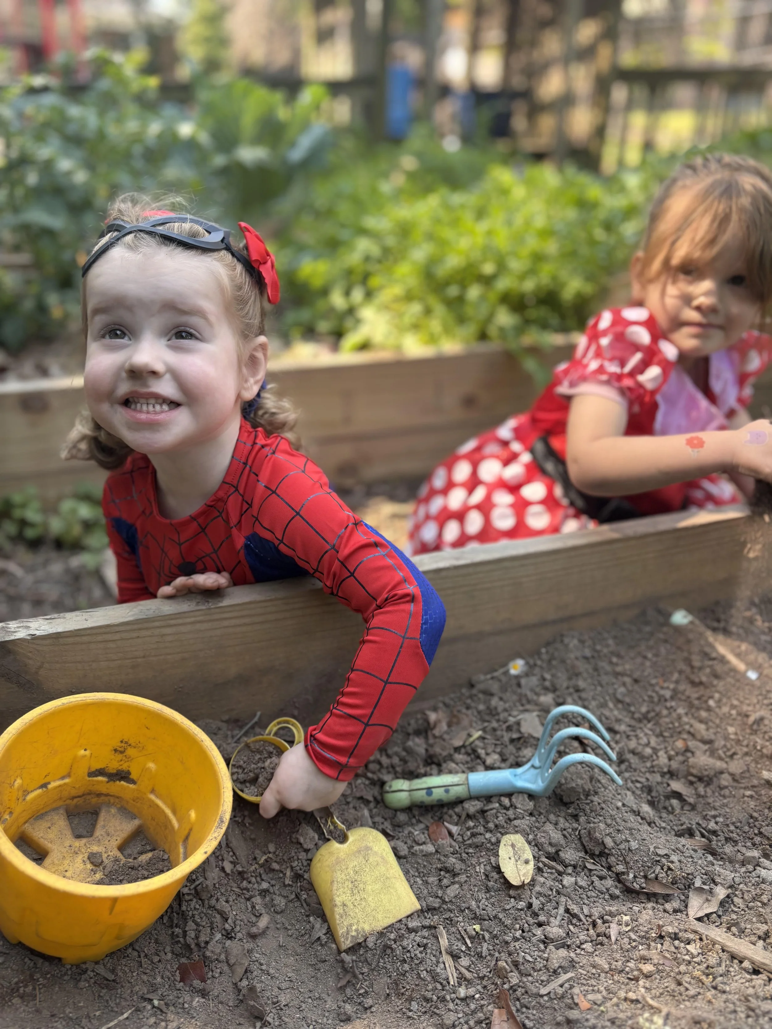 Wheezy Garden.jpg