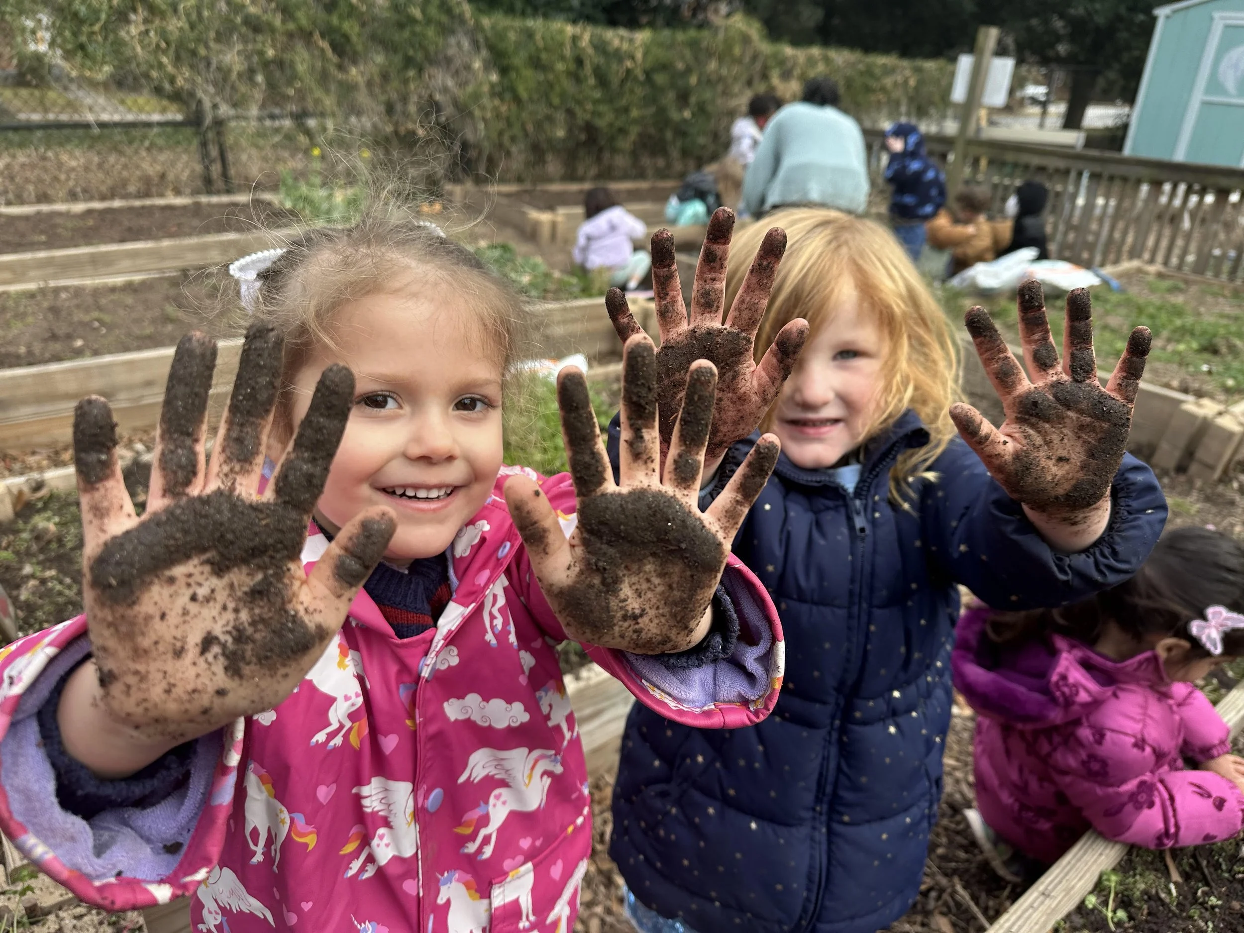 Dirt Hands (1).jpg