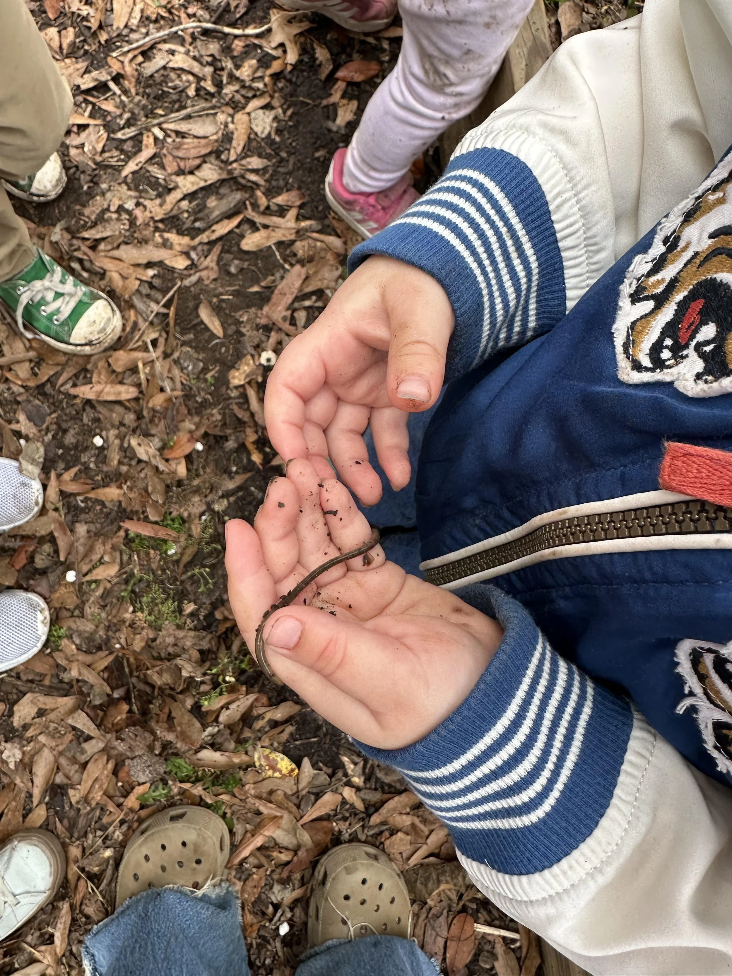 Worm Hands.jpg