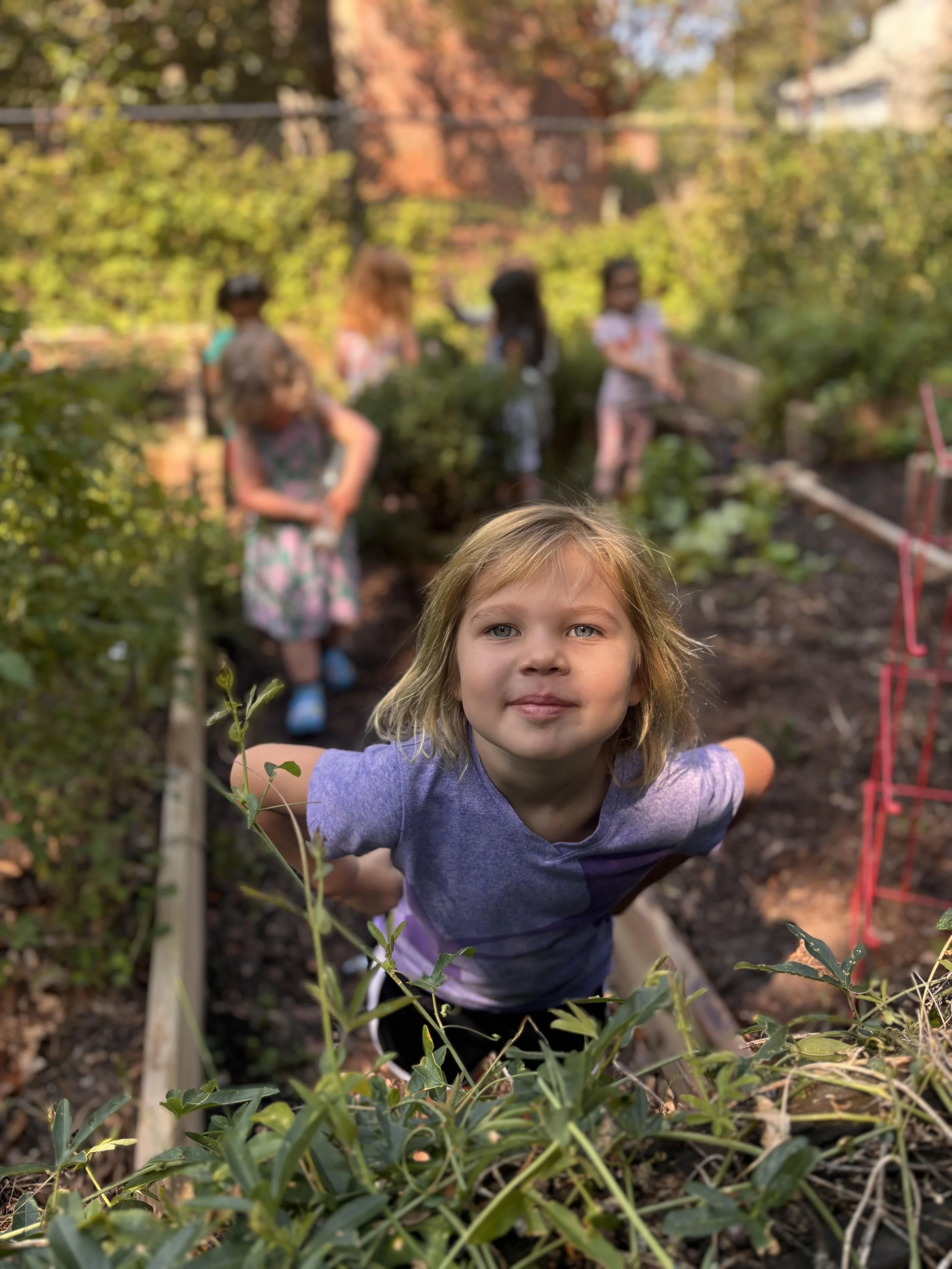 Mack Garden.jpg