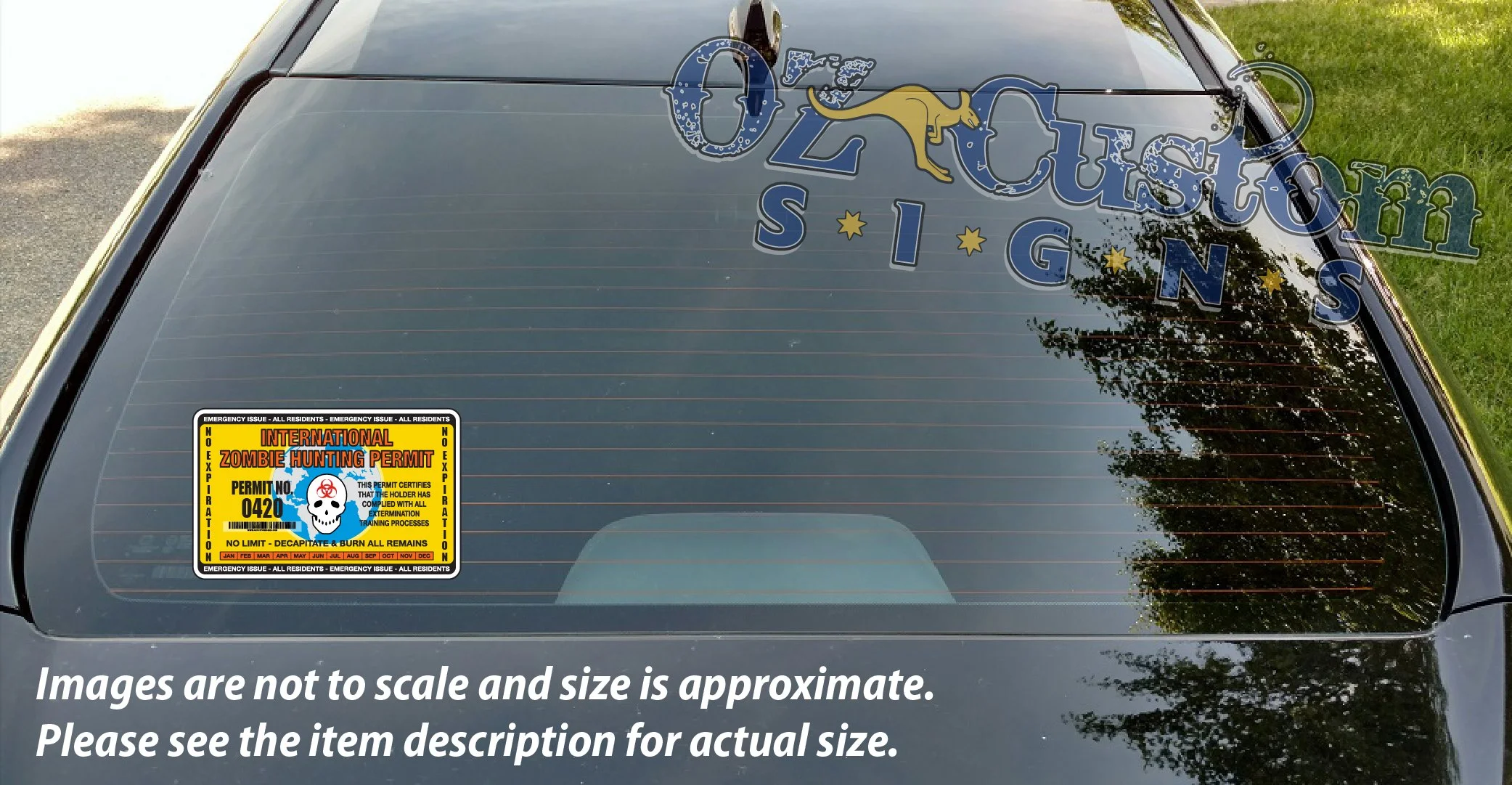 international zombie permit yellow_window.jpg