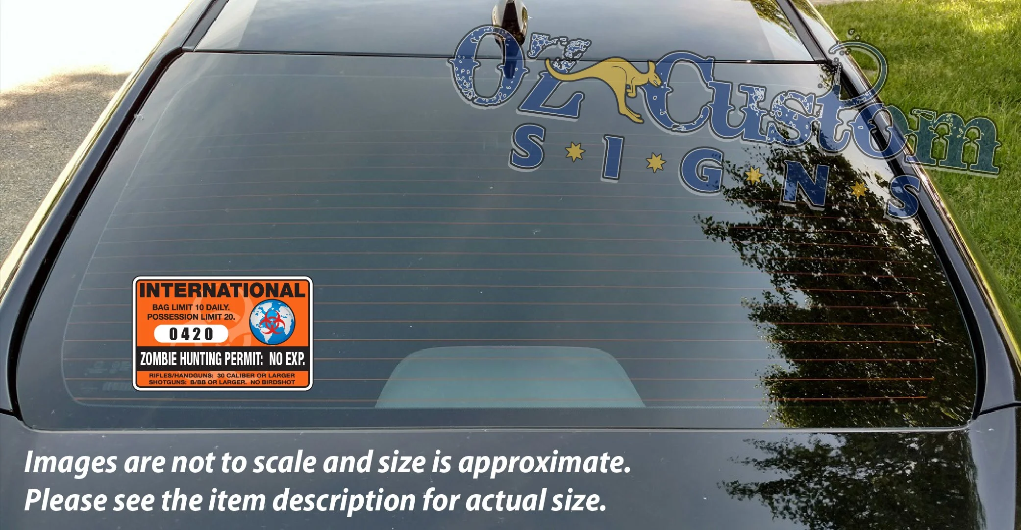 international zombie permit orange_window.jpg