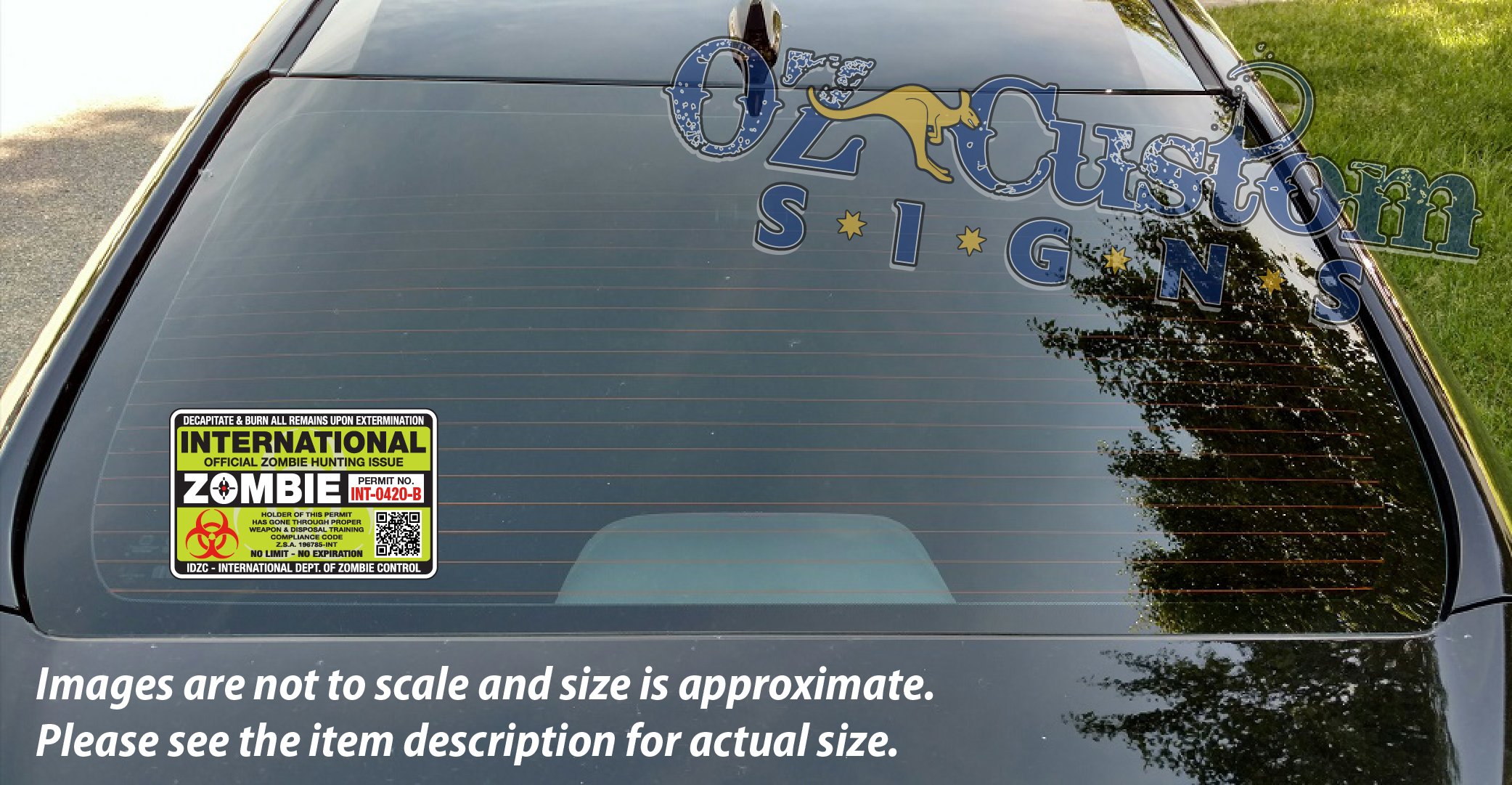 international zombie permit green_window.jpg