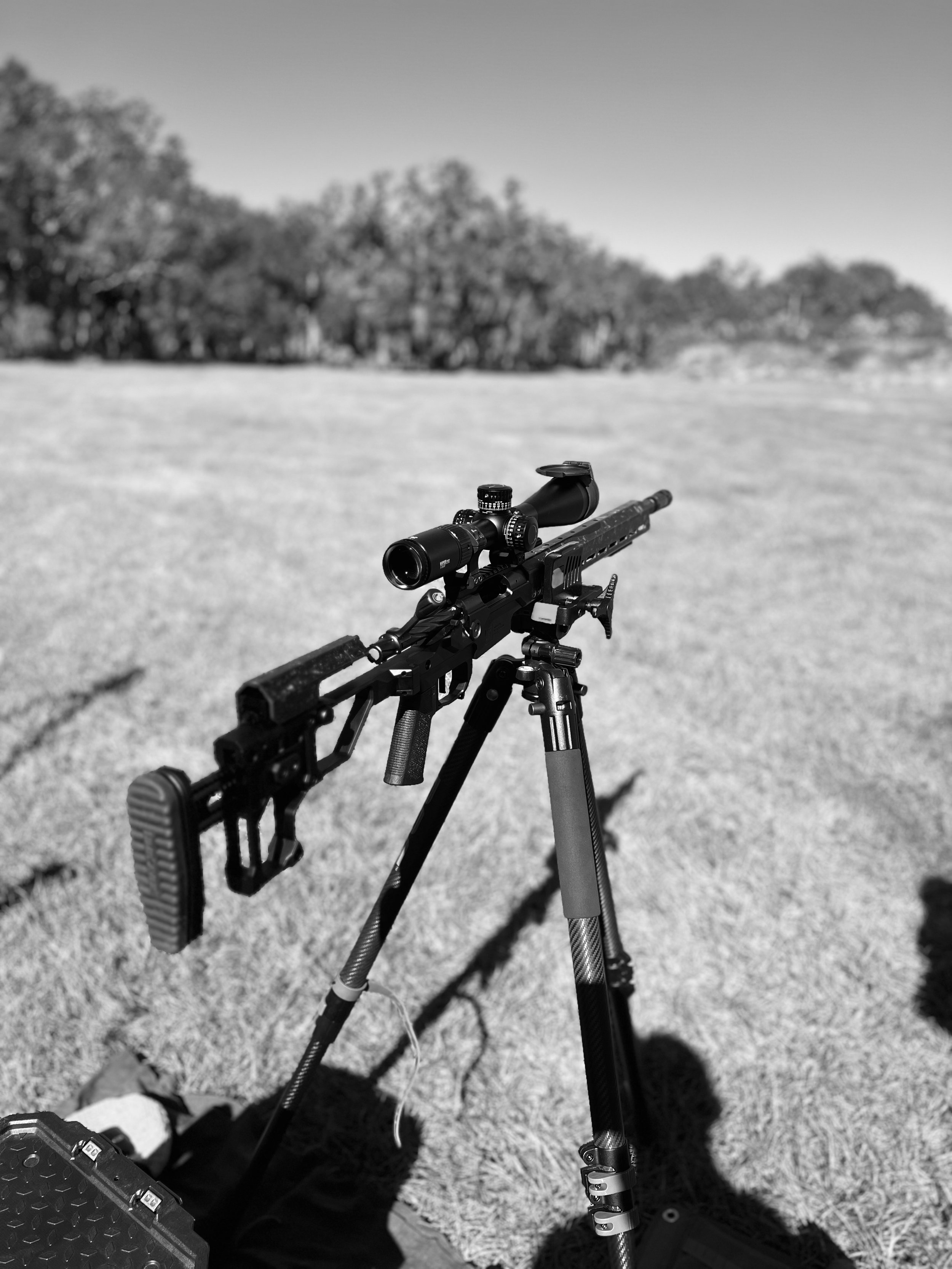 IMG_4358.jpeg