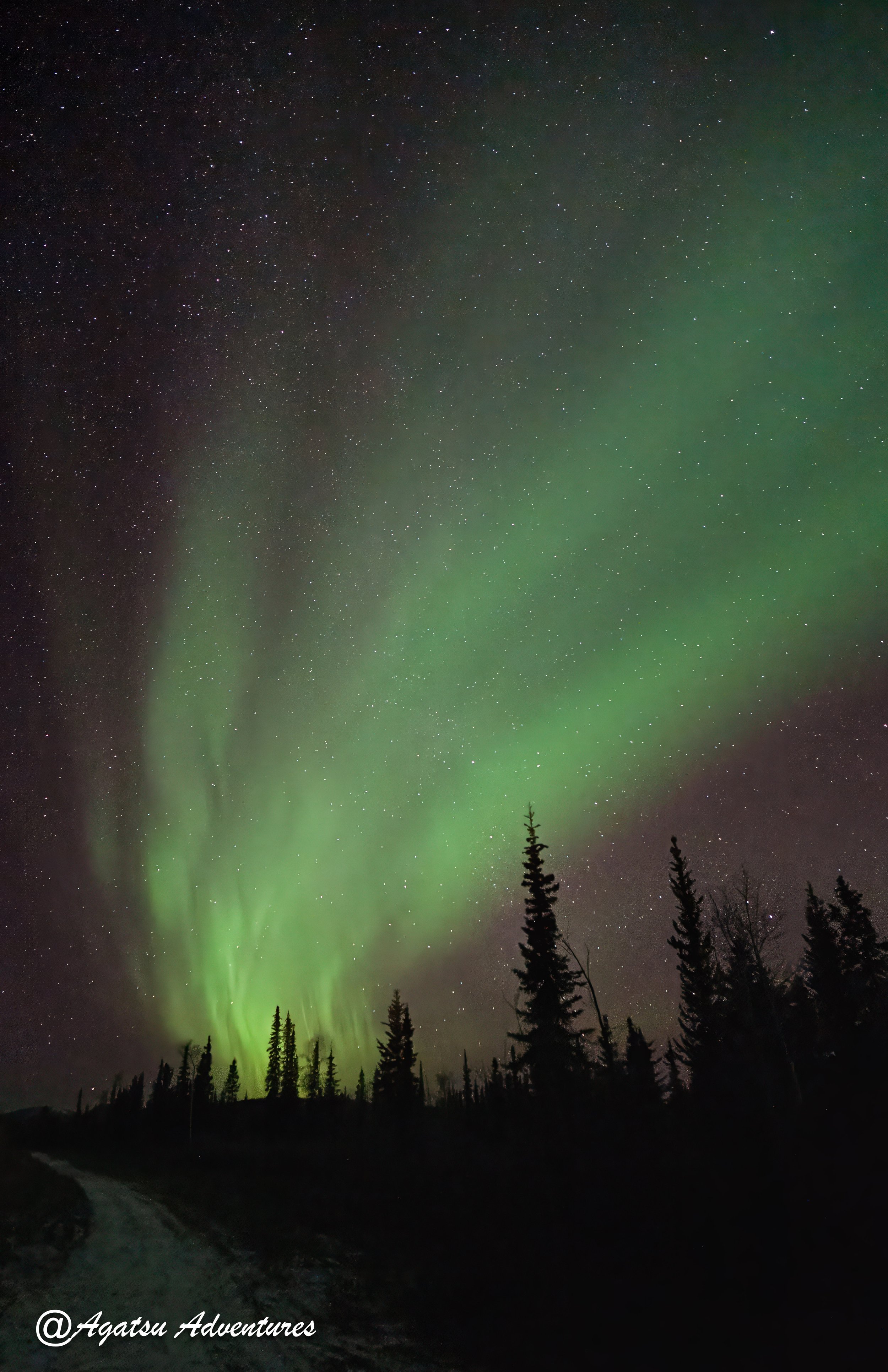 October Aurora-1.jpg