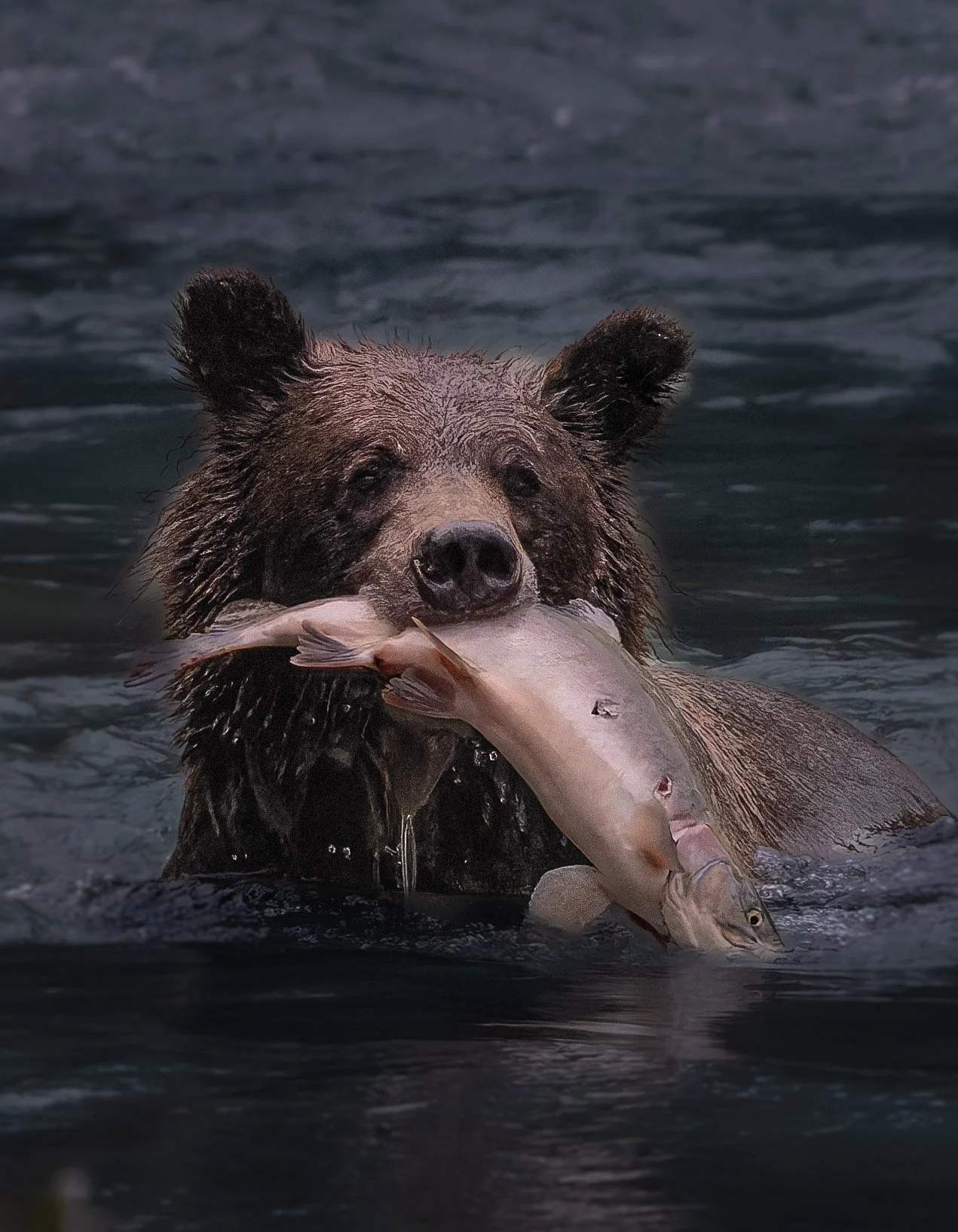 Lulu with fish 2-1.jpg