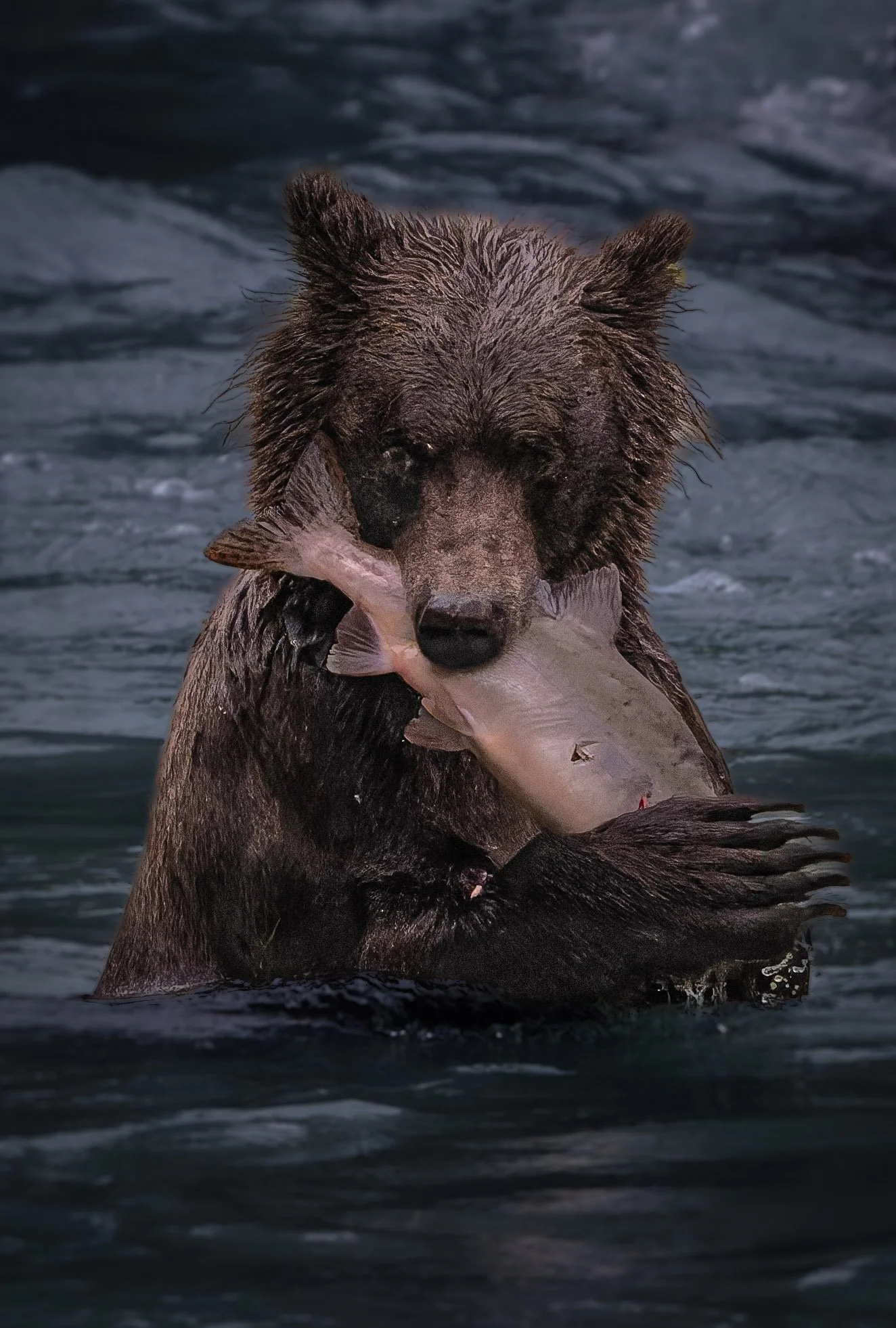 Lulu with fish-1.jpg