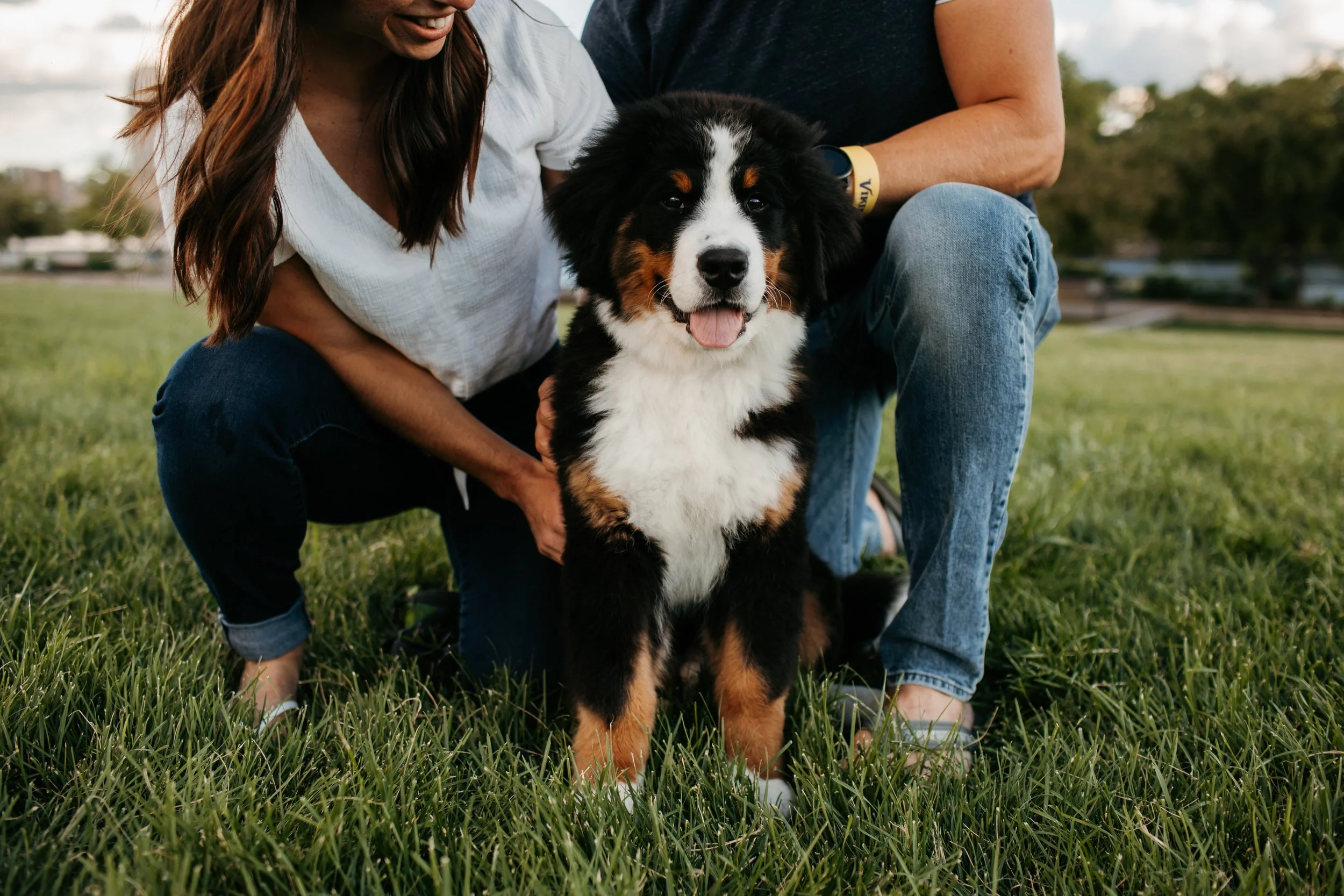 Tips on Bringing Your Dog to Your Photo Session