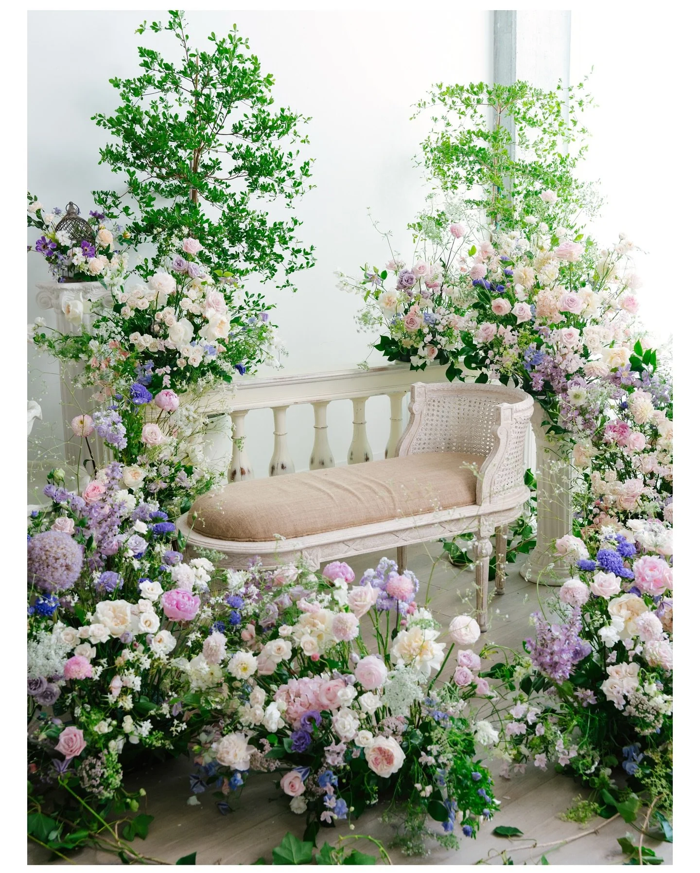 A spacious studio filled with lush, dreamy florals.
a shoot every photographer dreams of doing at least once.
@fleurinaflower  brought that vision to life and beyond, with absolute perfection.
My wife has been a huge fan for years (I’ve defini