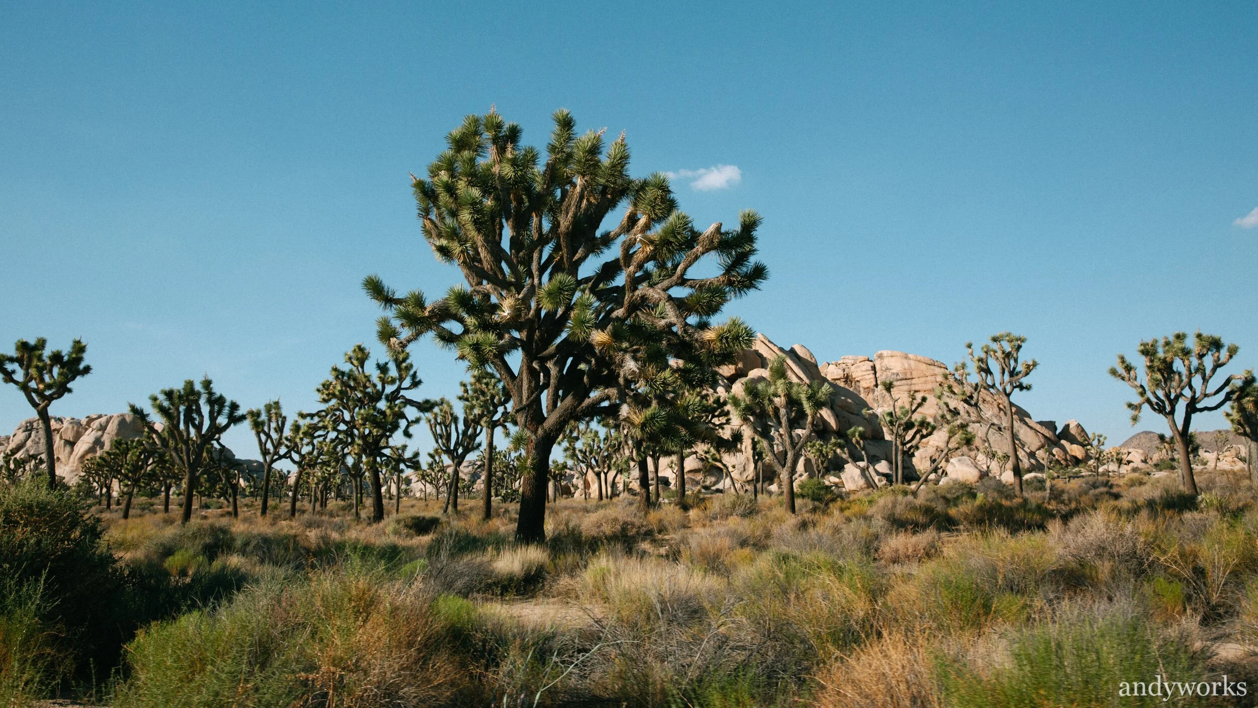 Location_16.jpg
