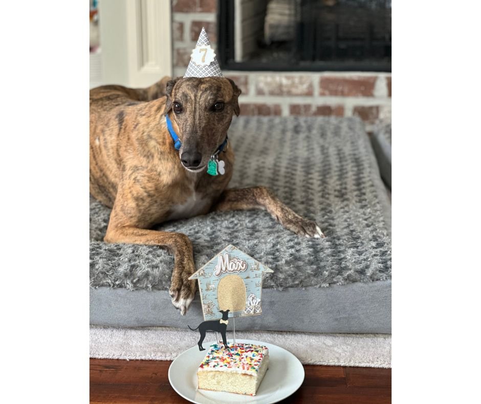 Website- Duke Max.jpg