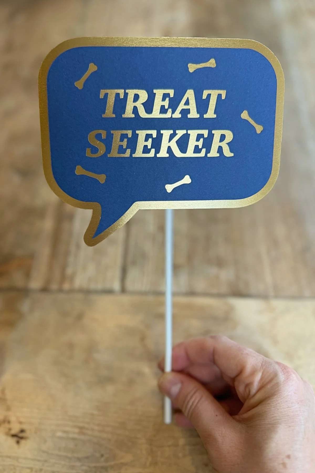 JB Speech Bubble.jpg