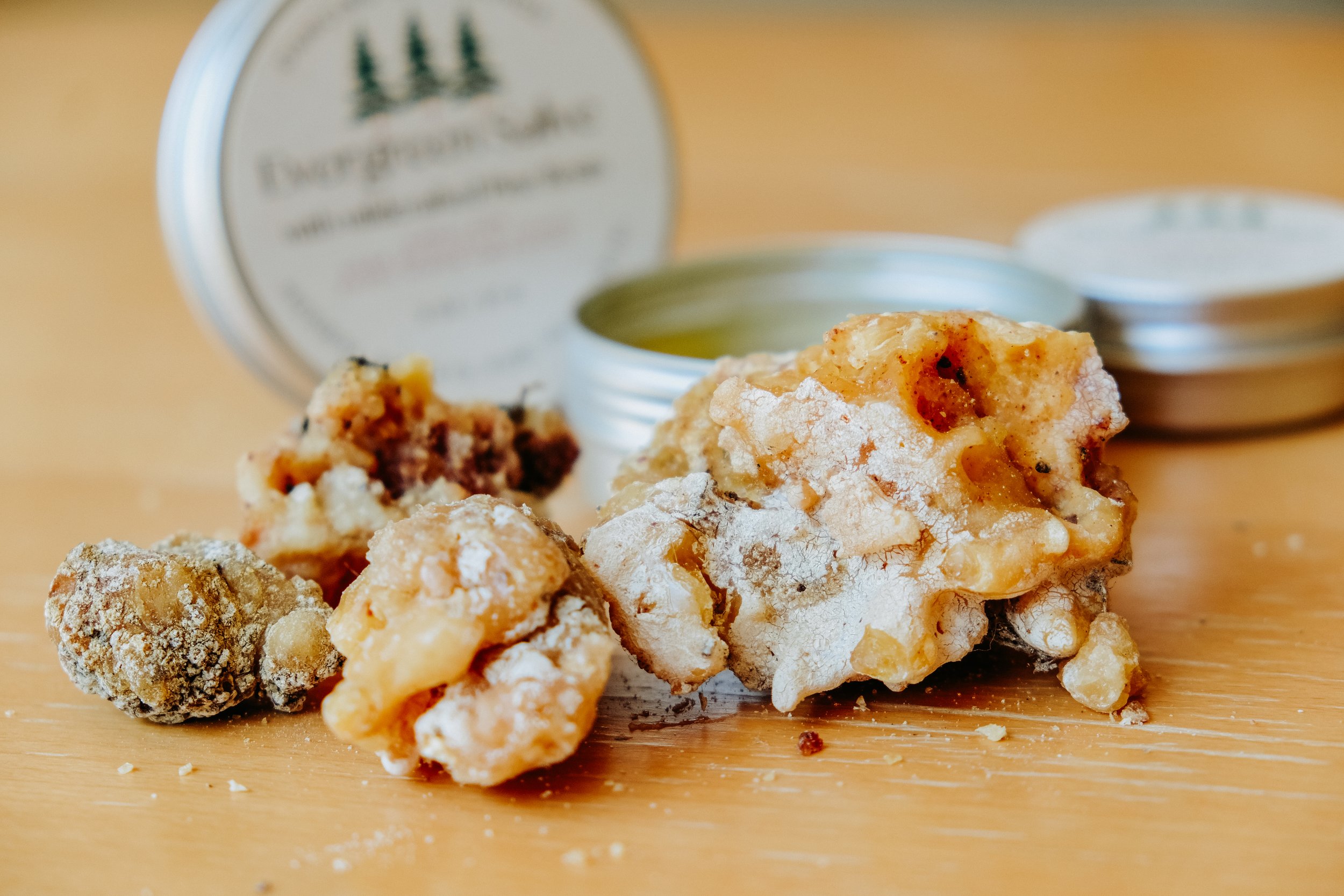 sustainably wildcrafted pine resin infused in Evergreen Salve