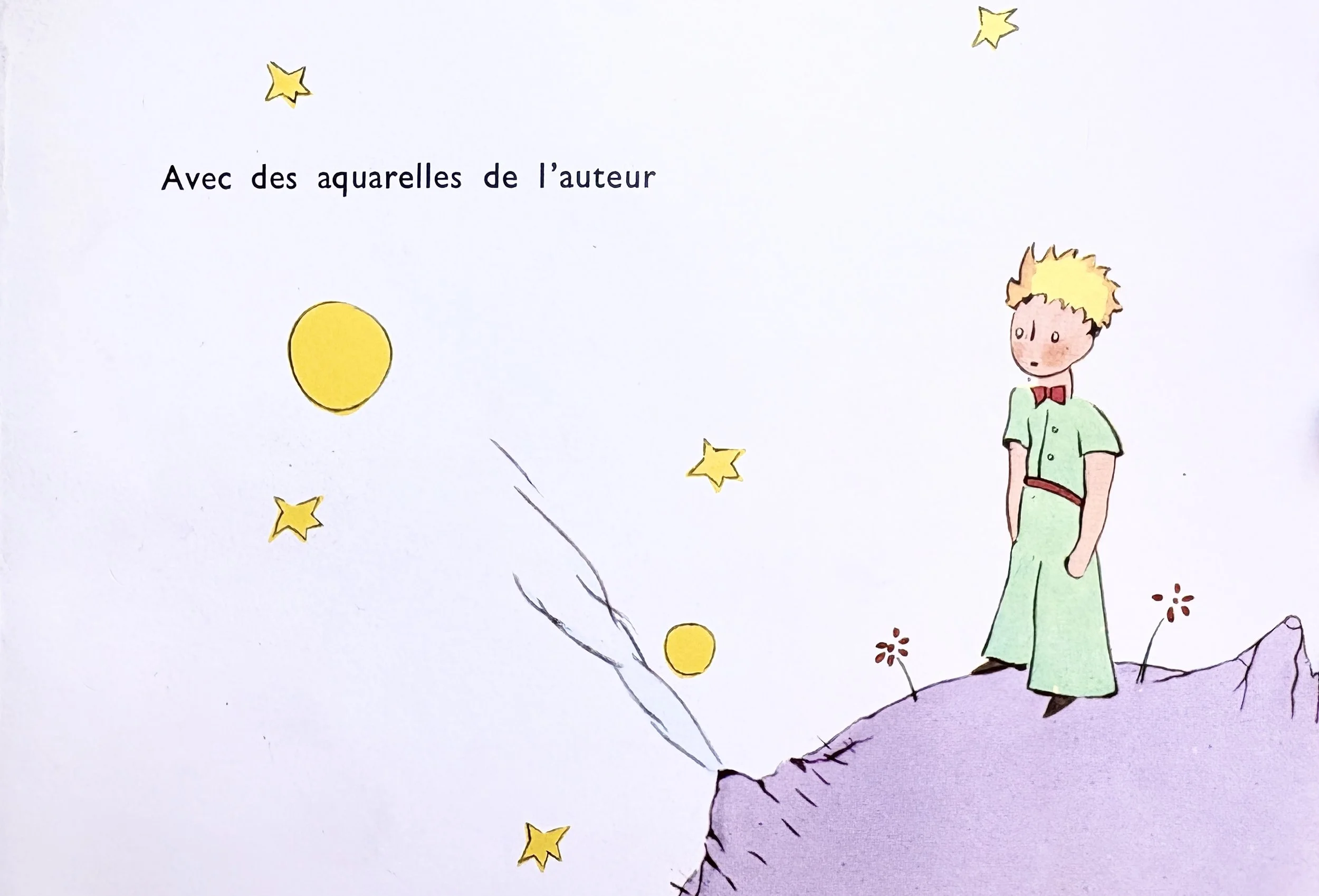 Grown-ups Never Understand Anything by Themselves