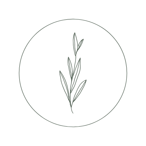Minimalist botanical line drawing of a plant inside a circle