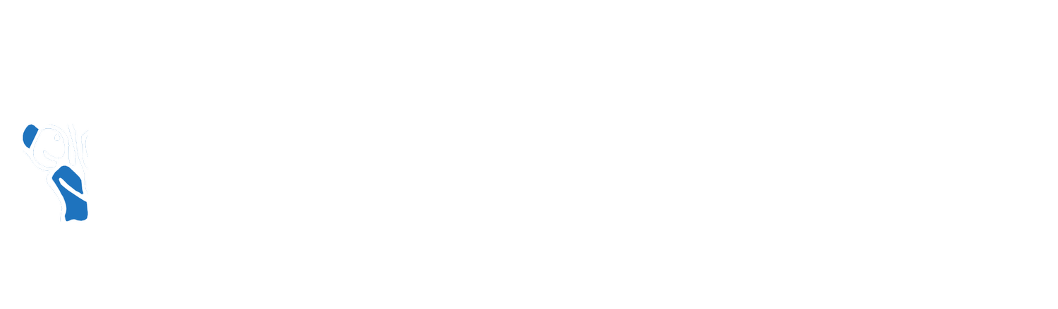 Skinny Wimp Moving