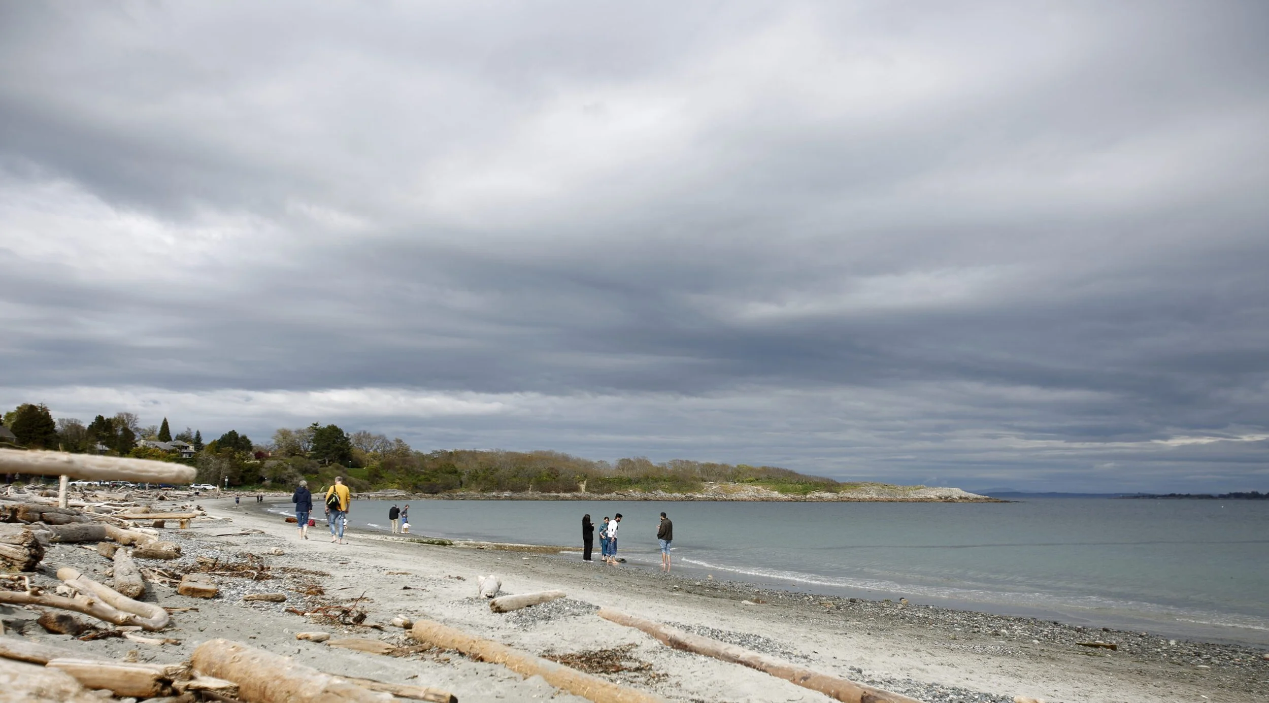 JANUARY BEACH CLEANUP