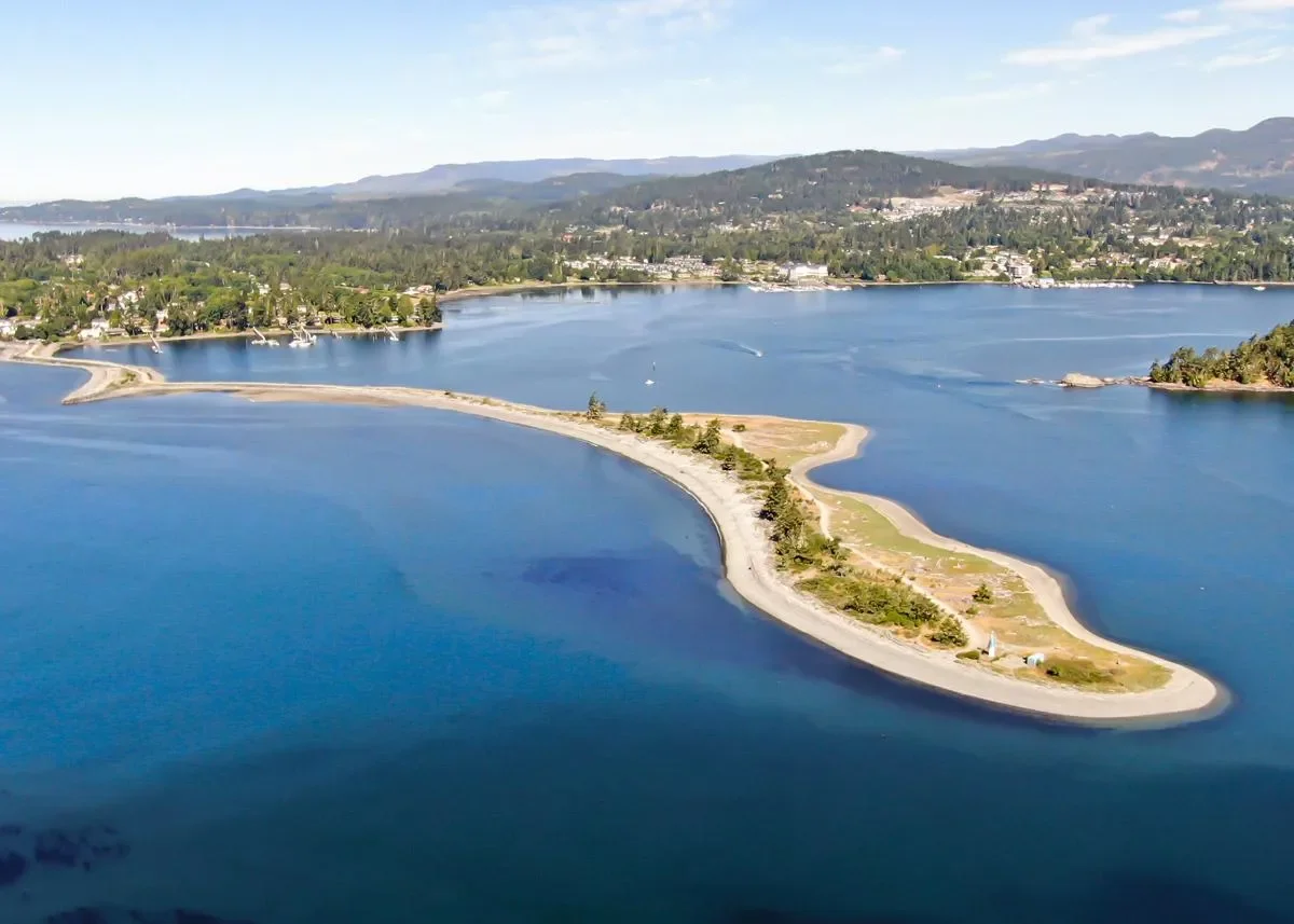 SEPTEMBER BEACH CLEANUP