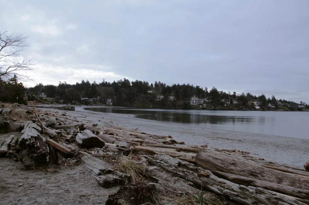 OCTOBER BEACH CLEANUP