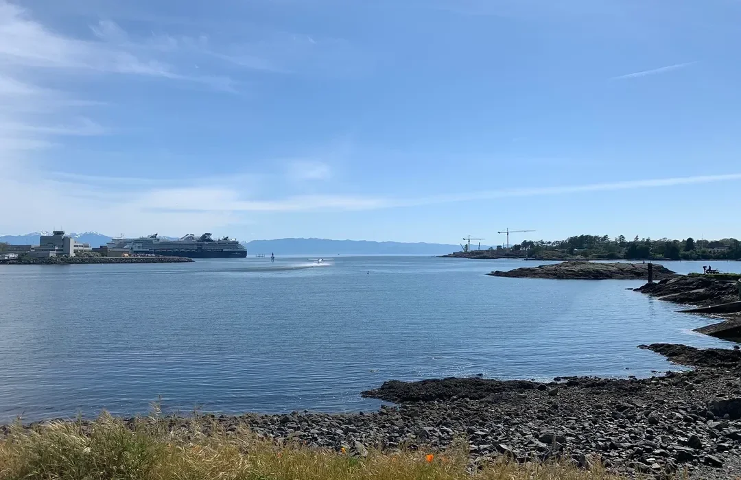 DECEMBER BEACH CLEANUP