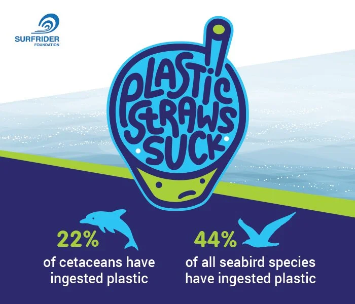 Straws Suck End Plastic Pollution Poster