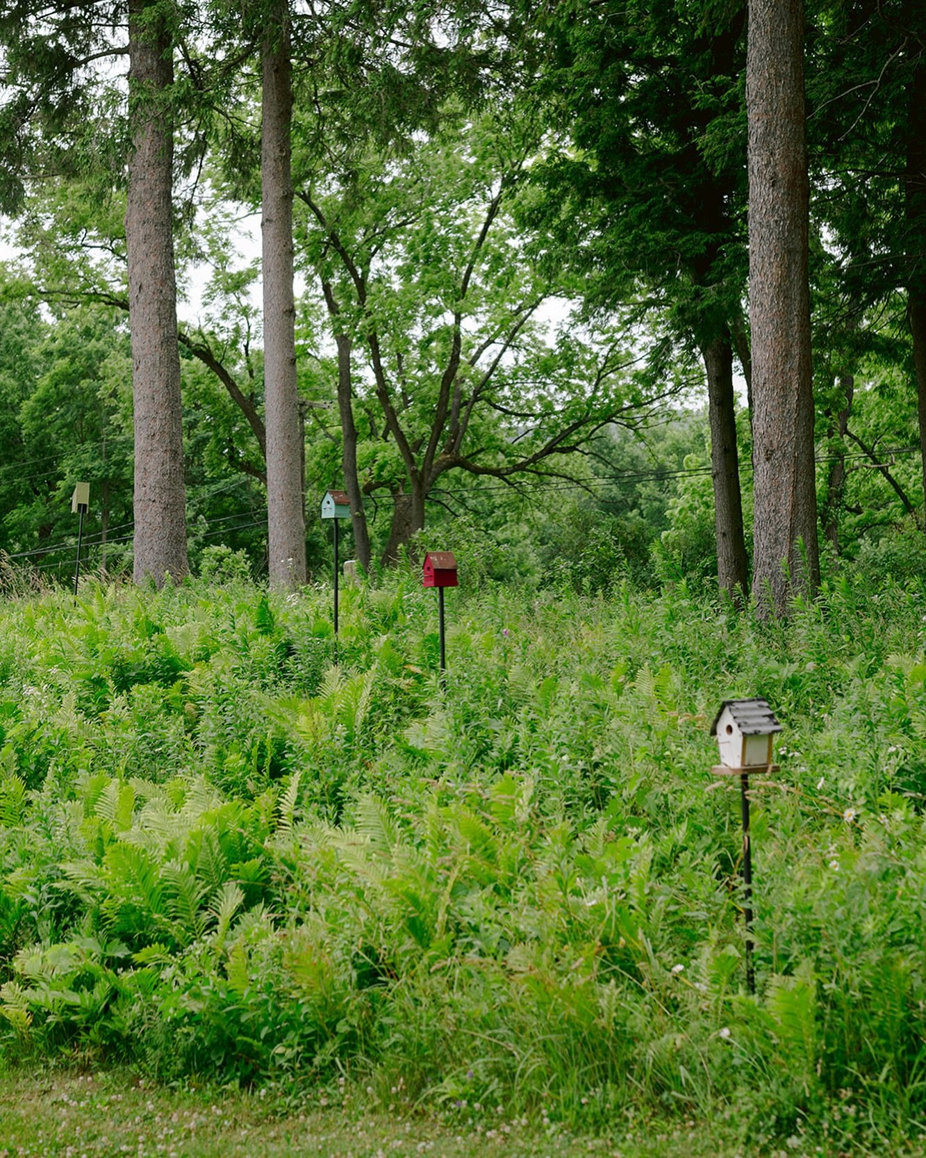 I spy new bird houses! We're excited to add more and paint them in-theme with the Shaker colors we know and love. Is it too early to think spring? 🤔