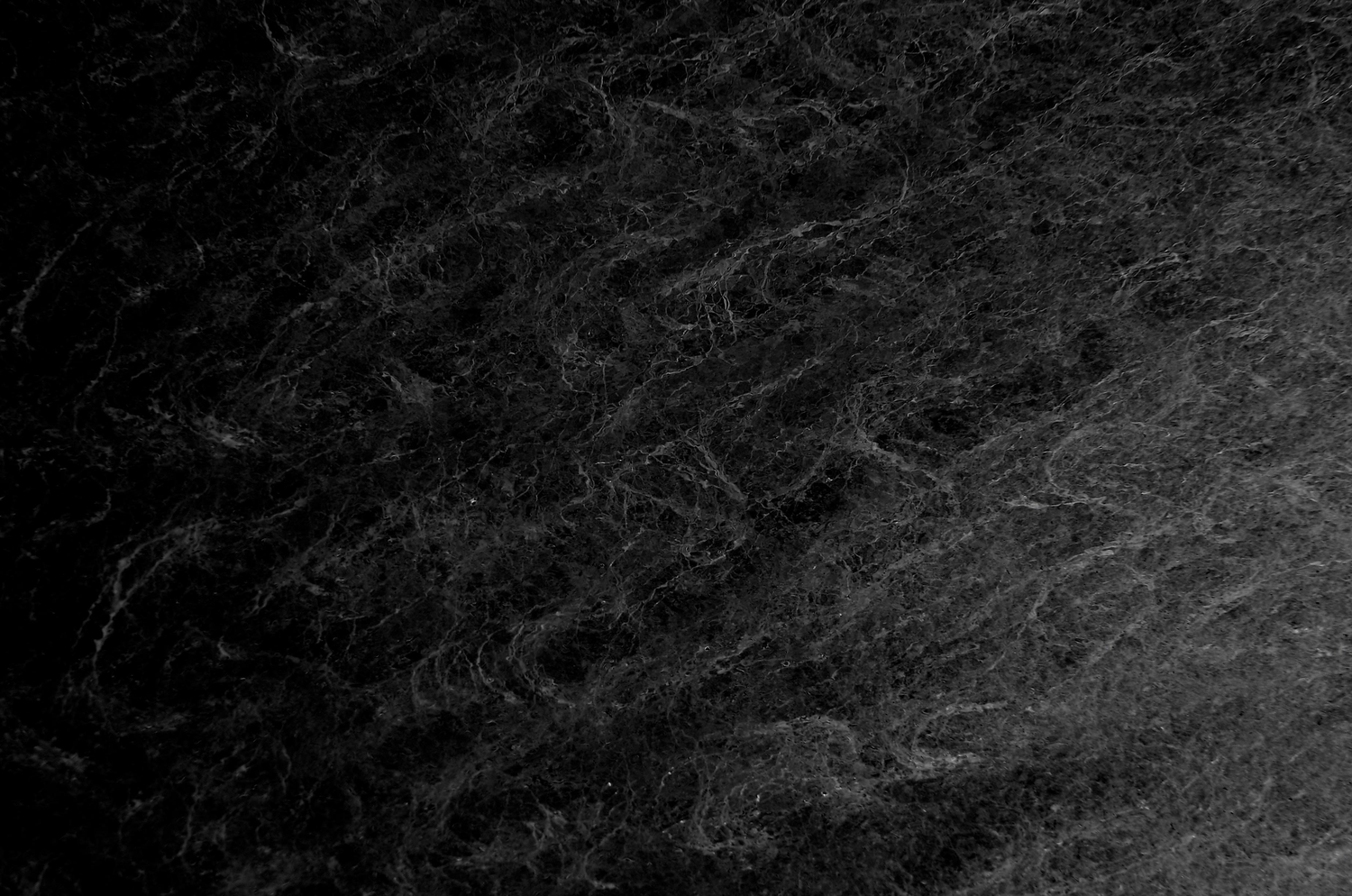 High School Conference University Of Colorado Boulder Model United high-school-conference-university-of-colorado-boulder-model-united