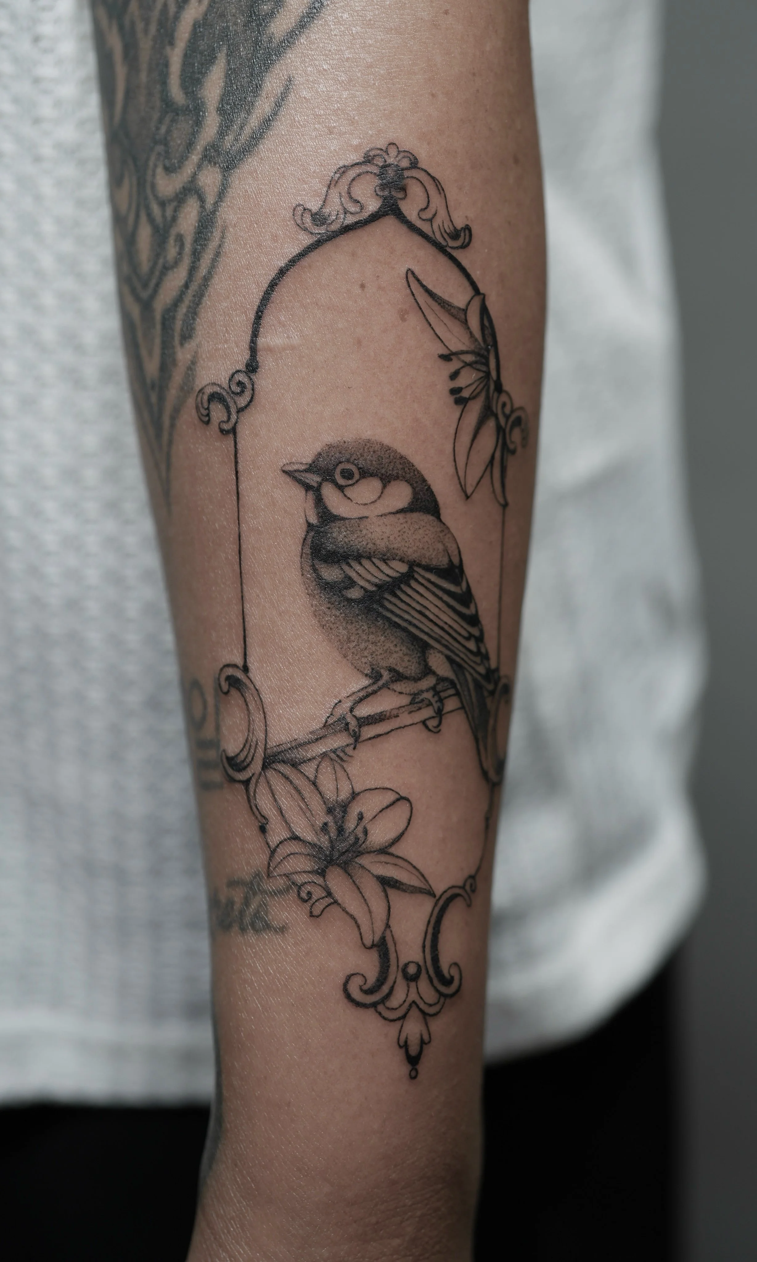 bird.jpg