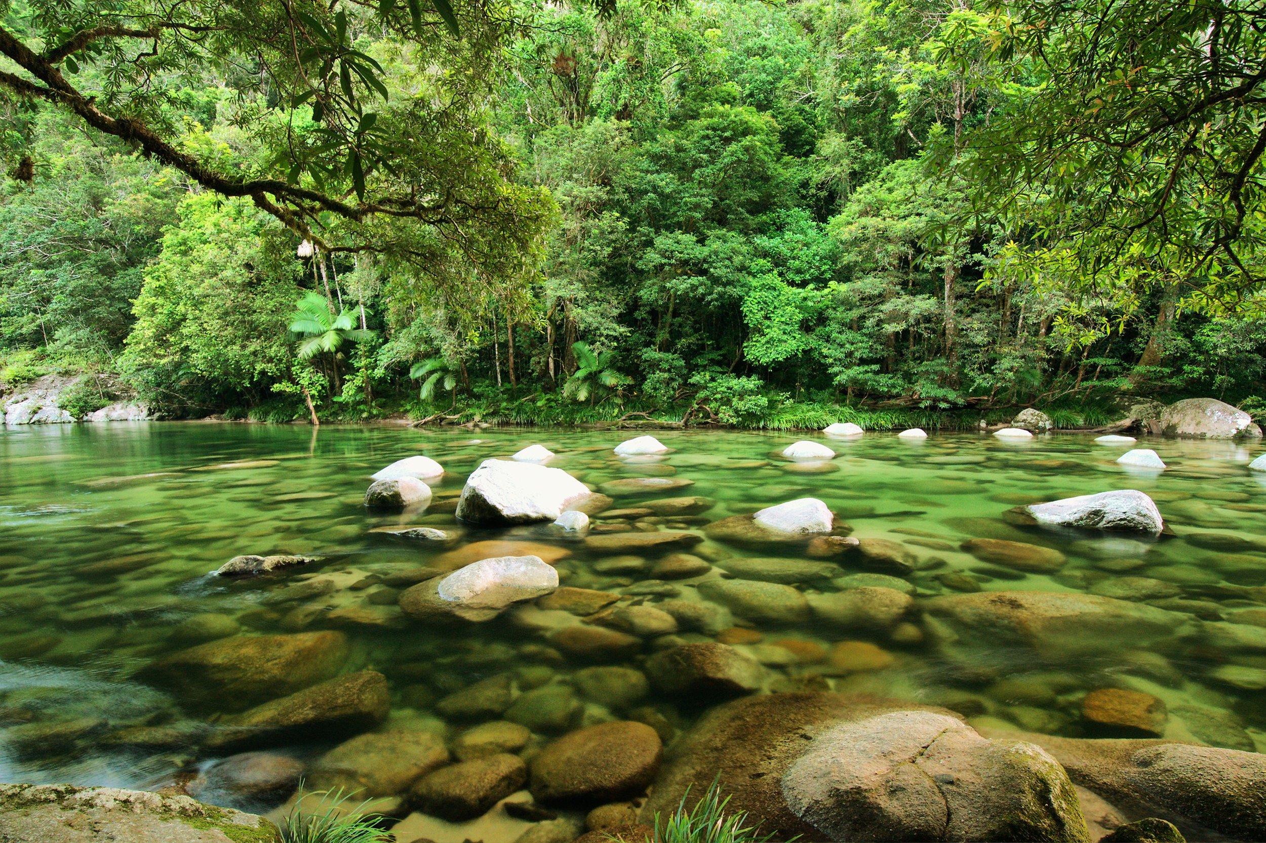 Active-Tropics-Explorer-Mossman-Gorge.jpeg