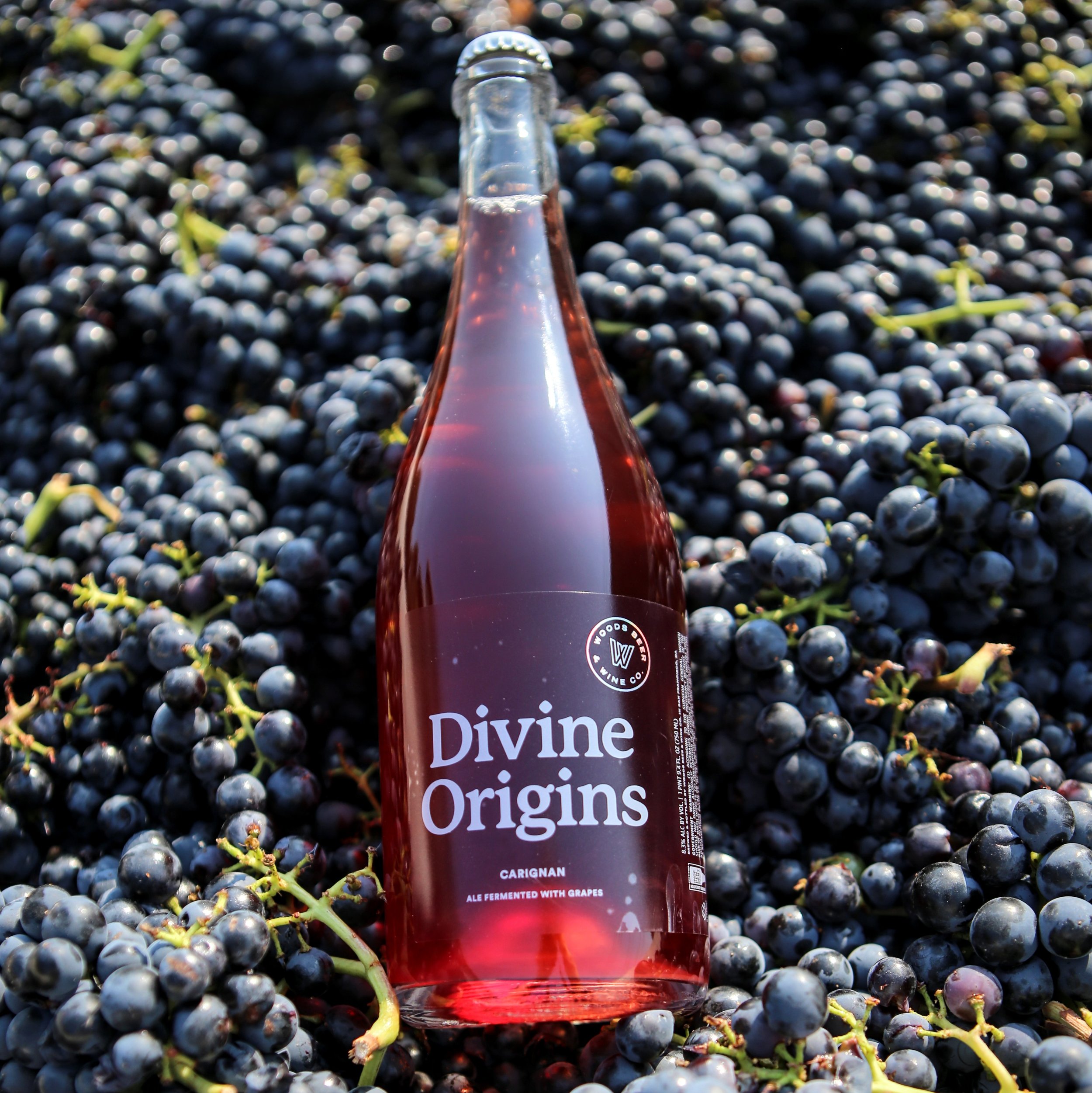 divineorigins_Carignan2020.jpg