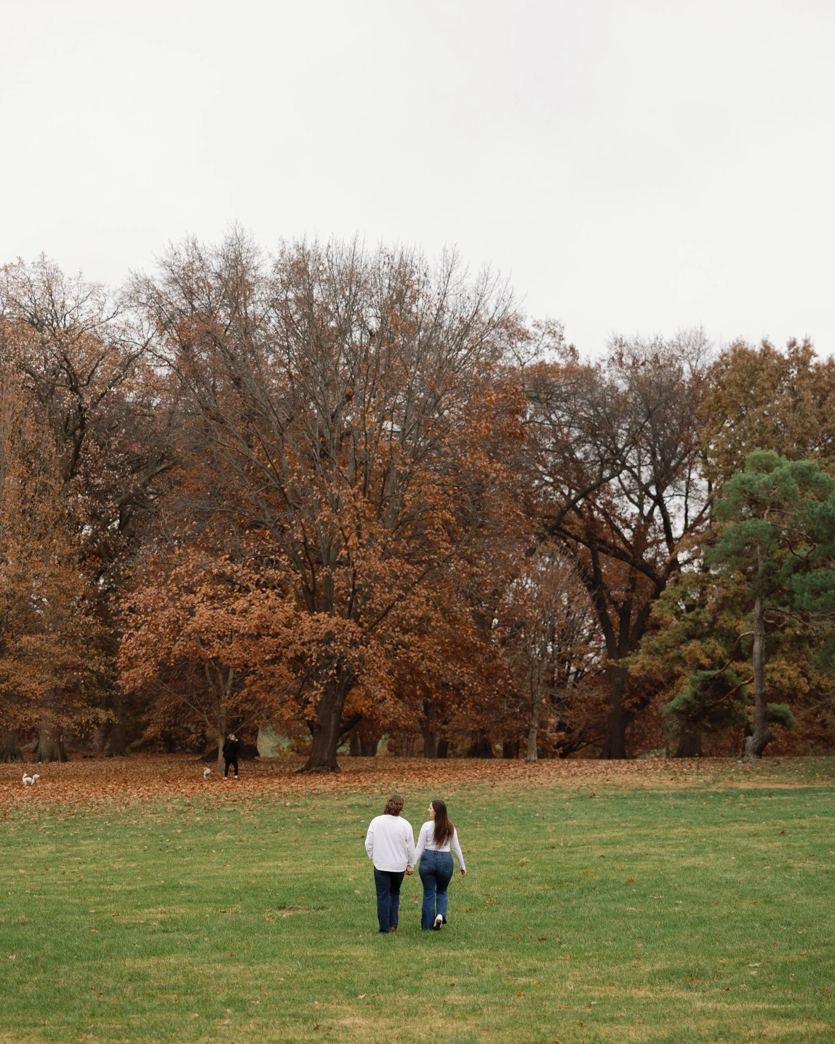 Running around Loose Park in Kansas City with Jesi and Luke last fall 💛 

#missouriweddingphotographer #kansascityweddingphotographer
