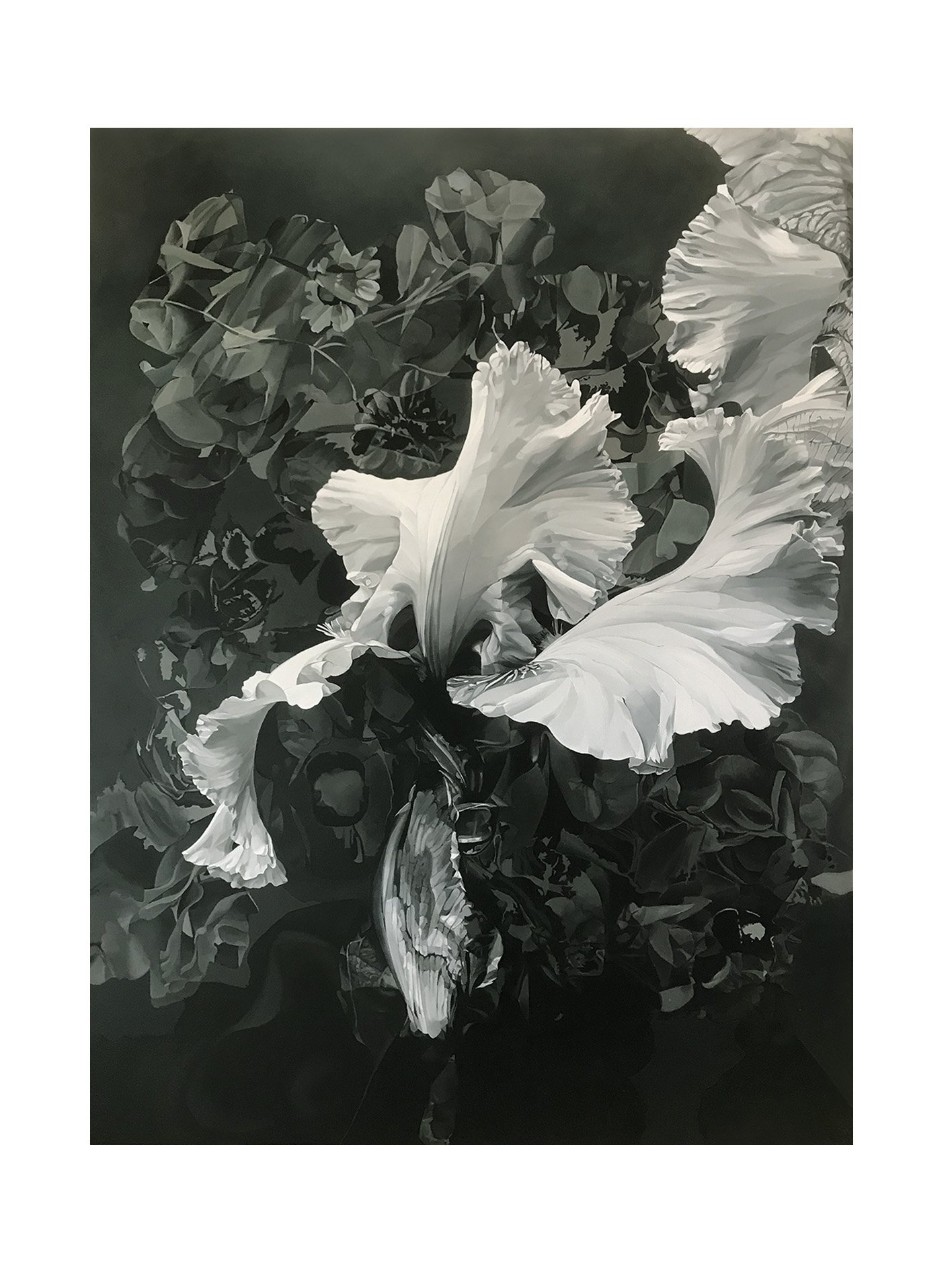 SHADOWBLOOM SERIES: ONE - SOLD
